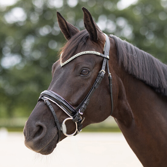 Bridles