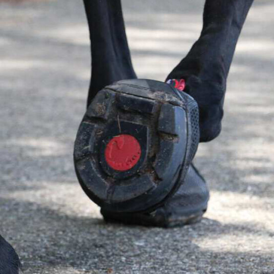 Hoof Boots