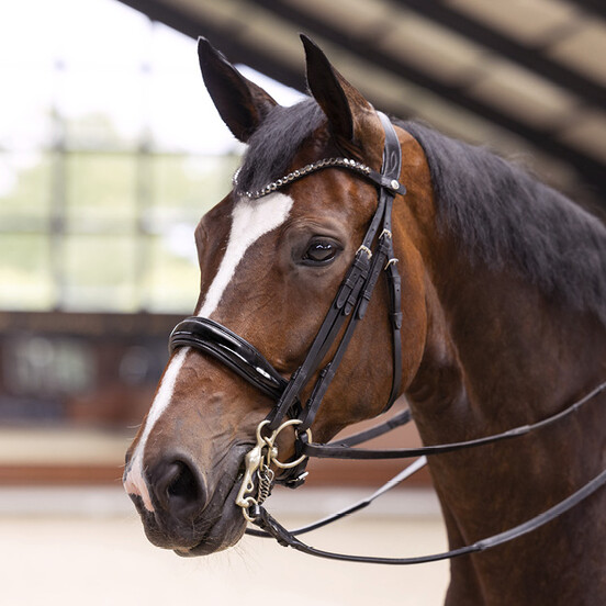 Bridles & Reins
