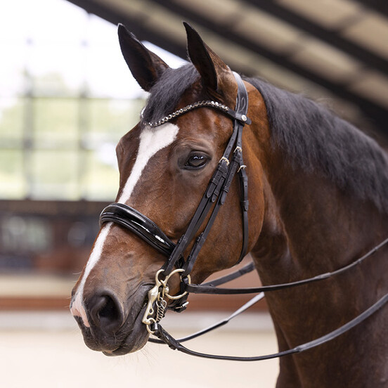 Bridles & Reins