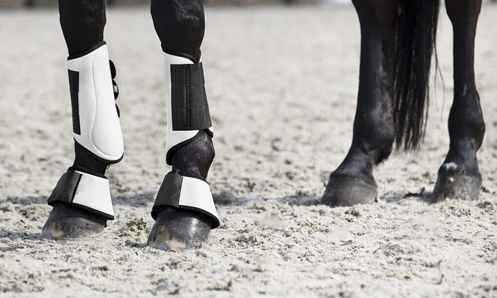 Horse leg protection boots new arrivals