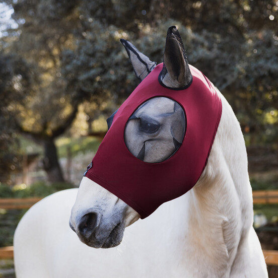 Fly Protection