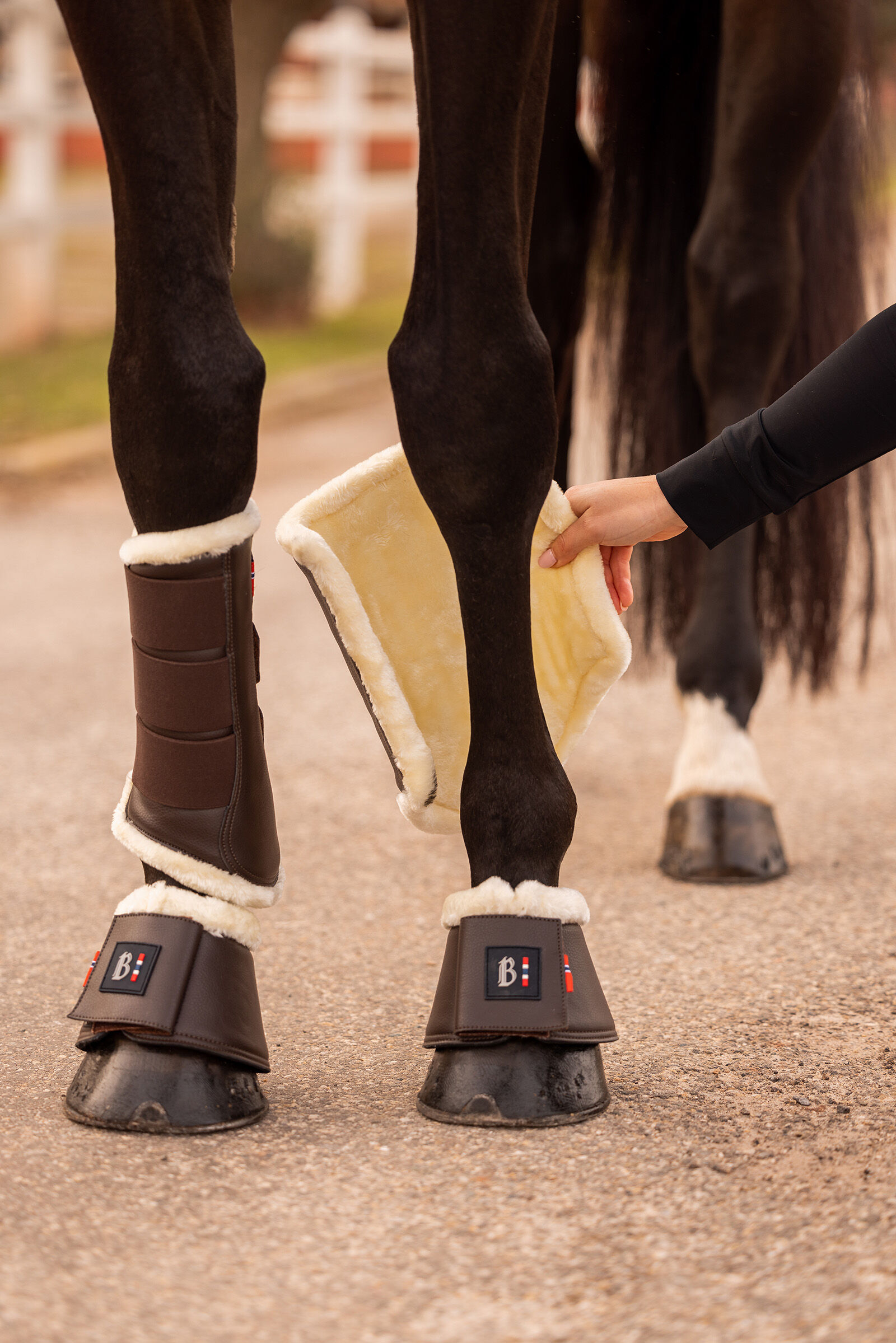 Horse brushing boots deals