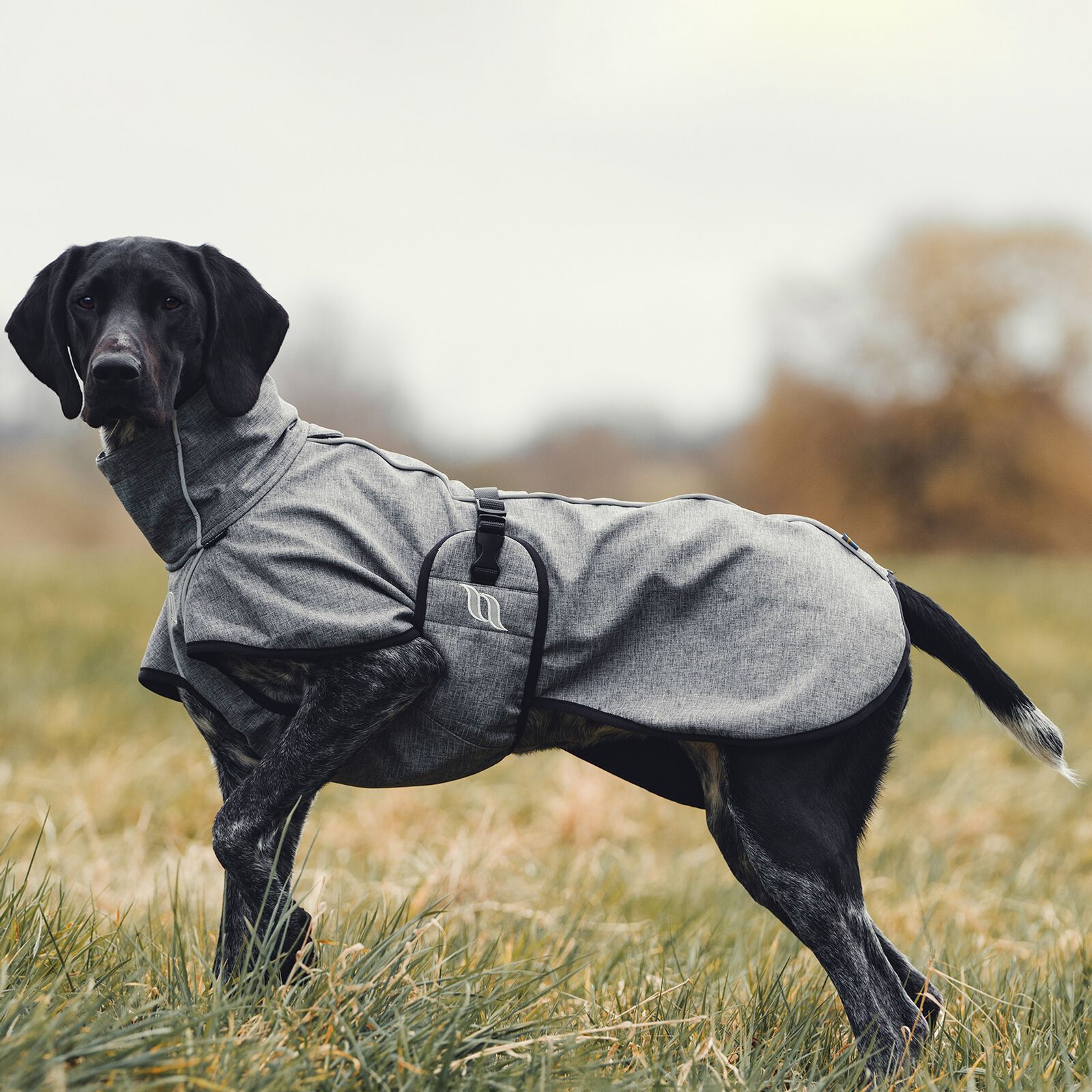 Back on track dog jacket best sale