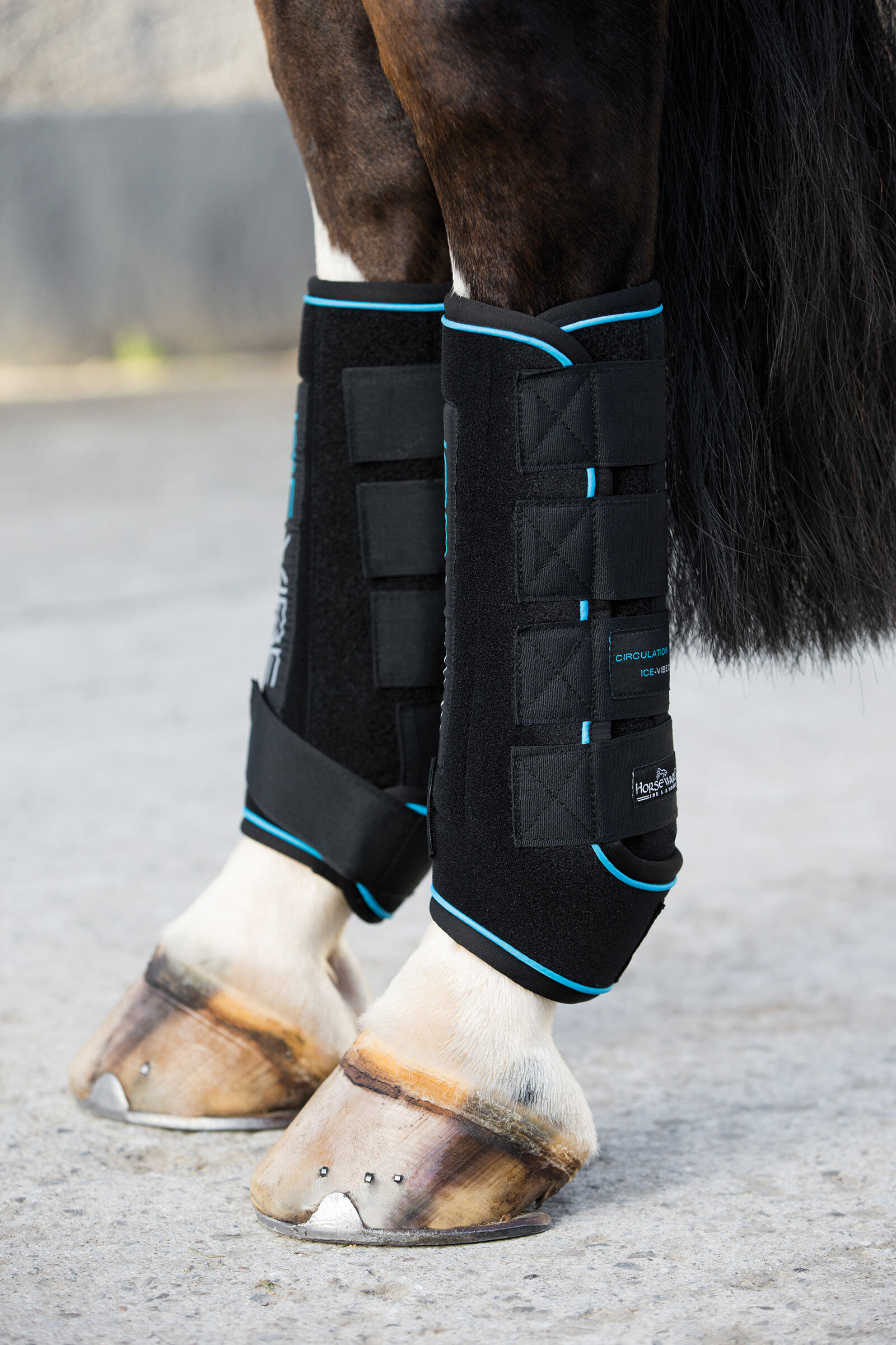 Ice vibe horse boots store