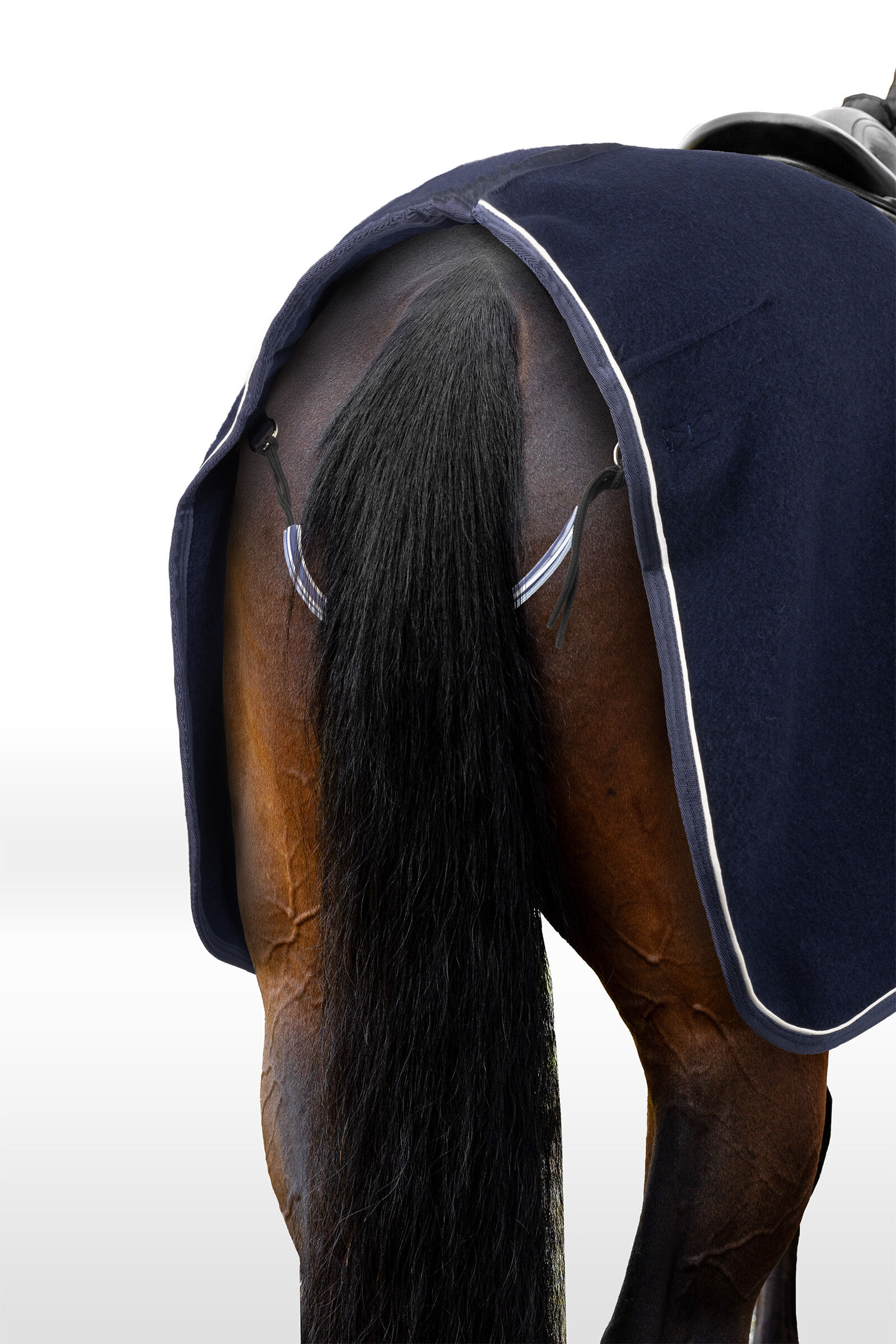 Cheap horse equipment discount