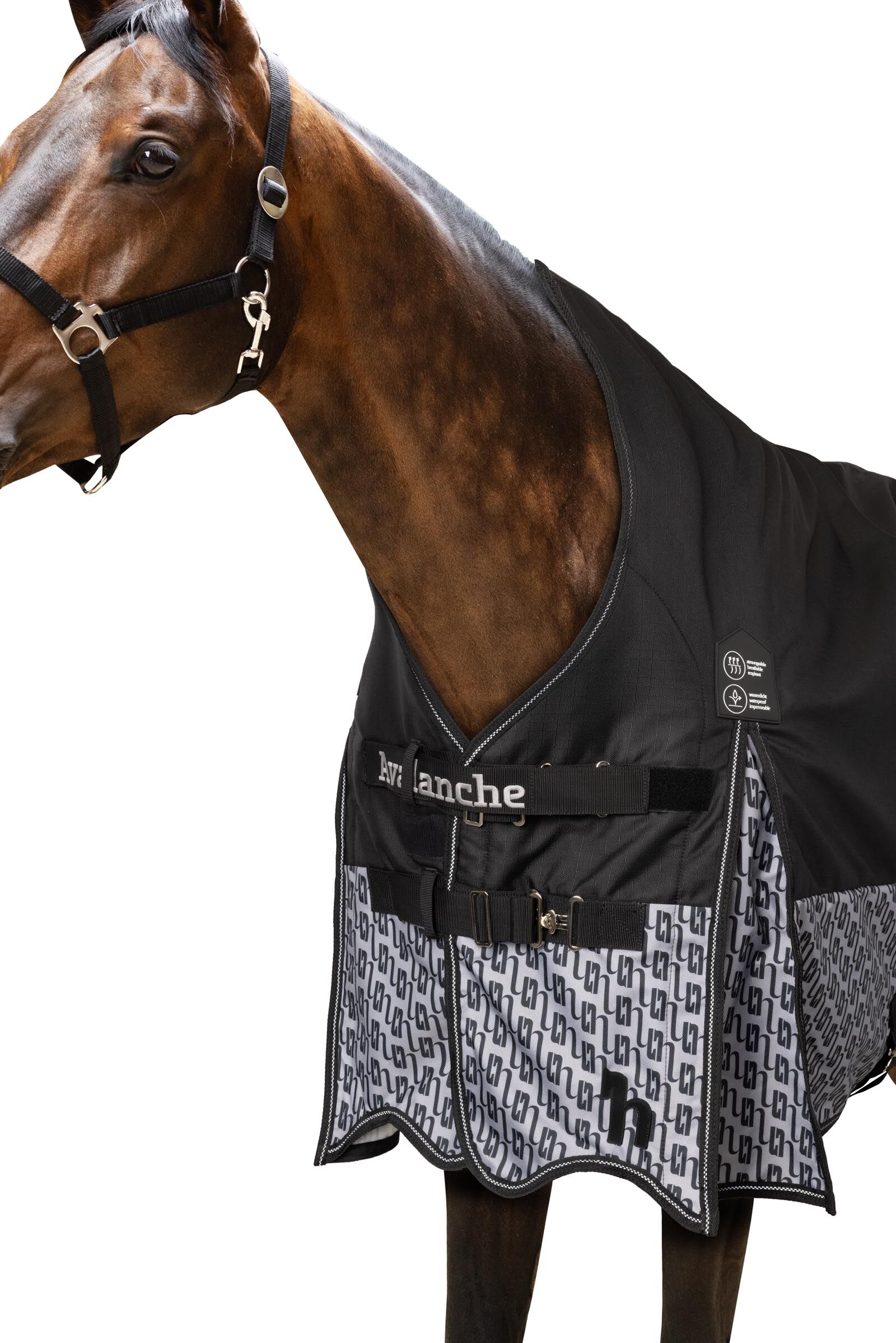 Buy horse equipment online discount