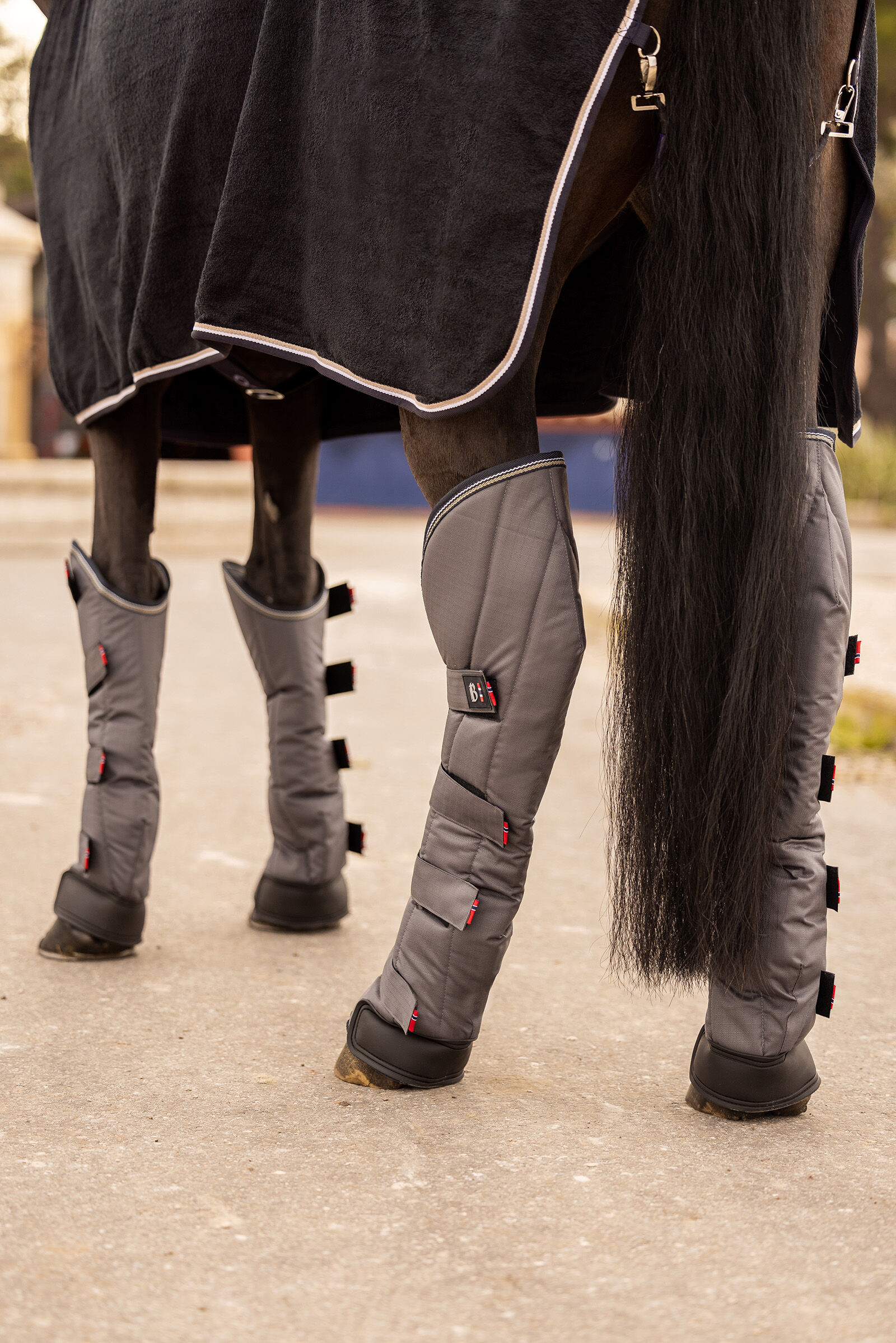 Horse shop shipping boots