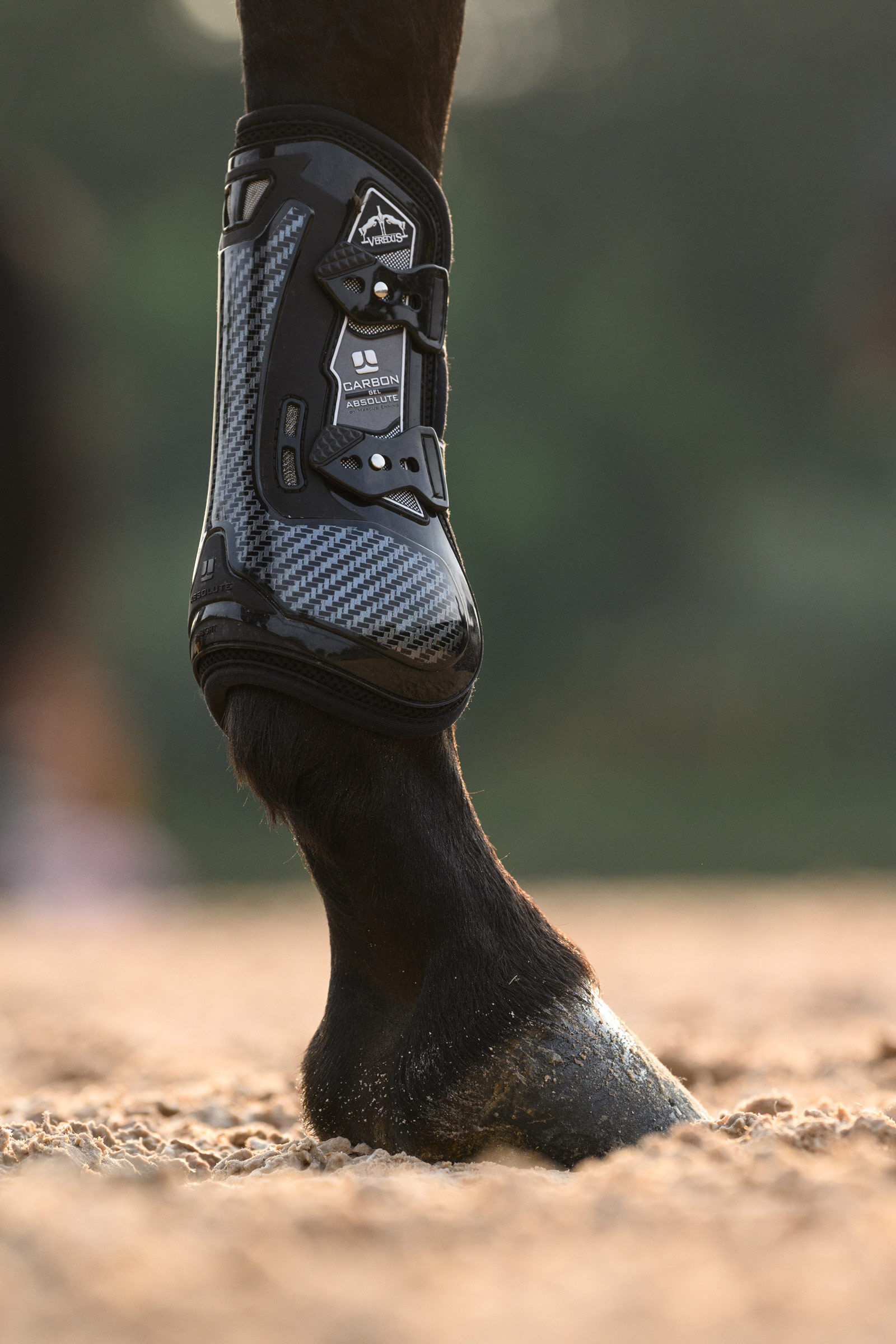 Veredus Carbon Gel Absolute Tendon Boots horze
