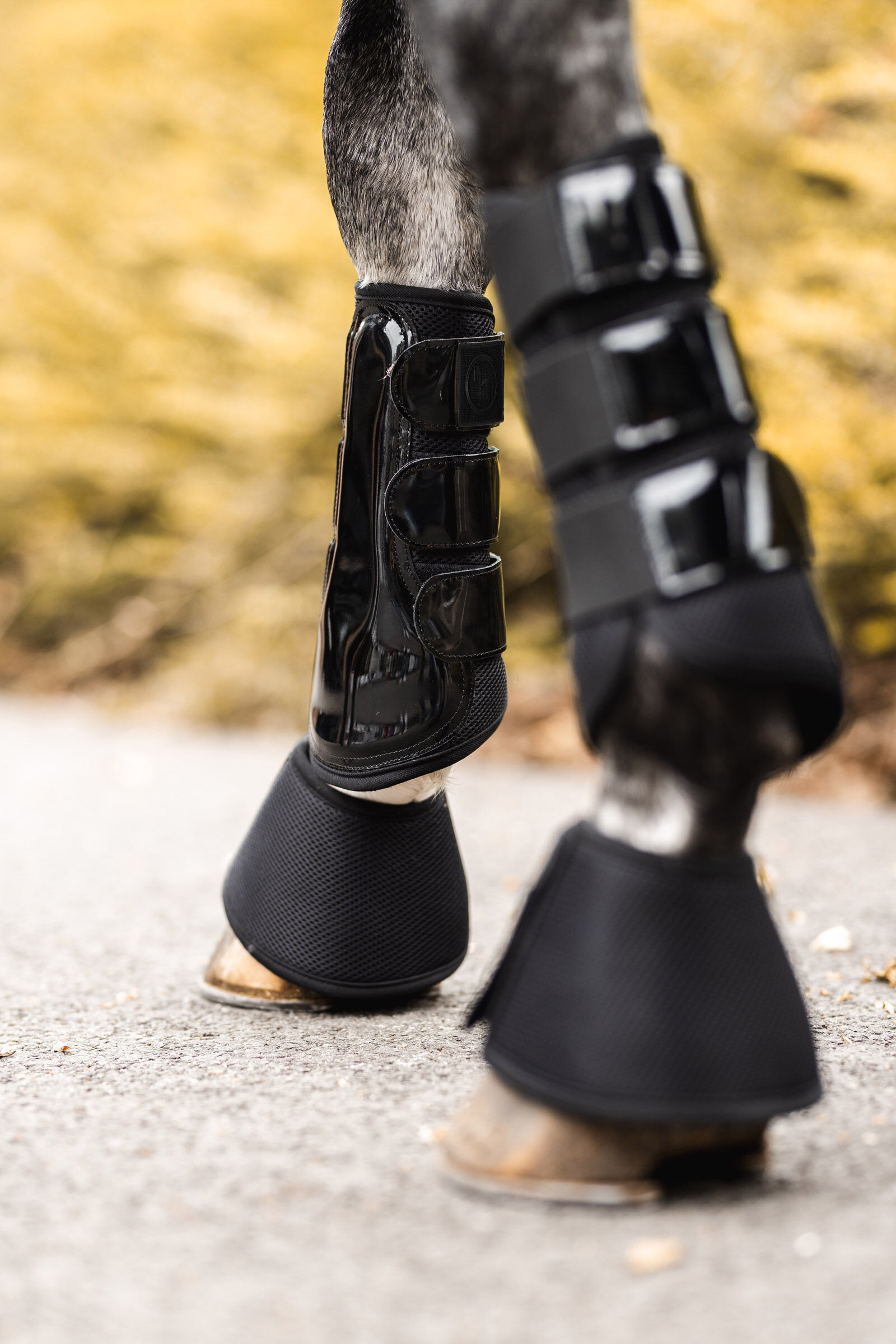 Brush boots shop
