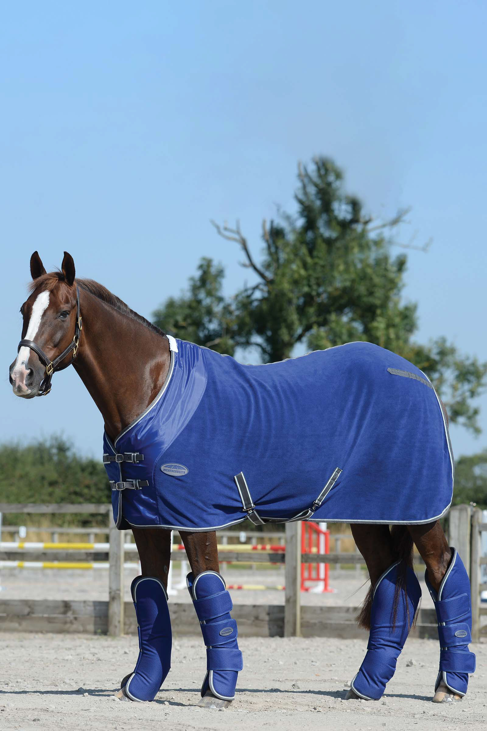 Horse 2025 travel boots