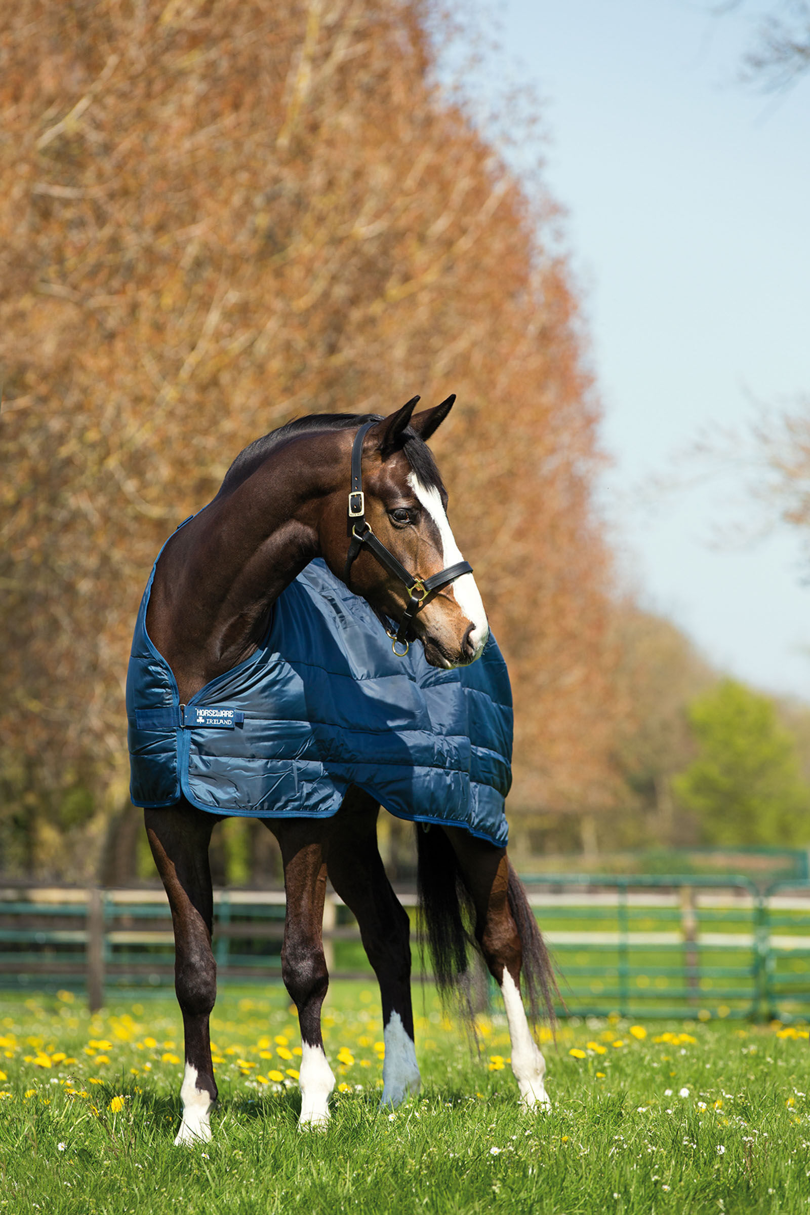 Horseware Liner Under Rug 200g