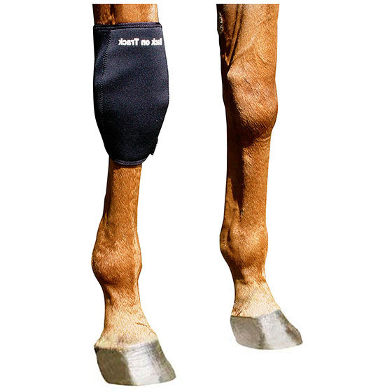 Back On Track Knee boot Right horze