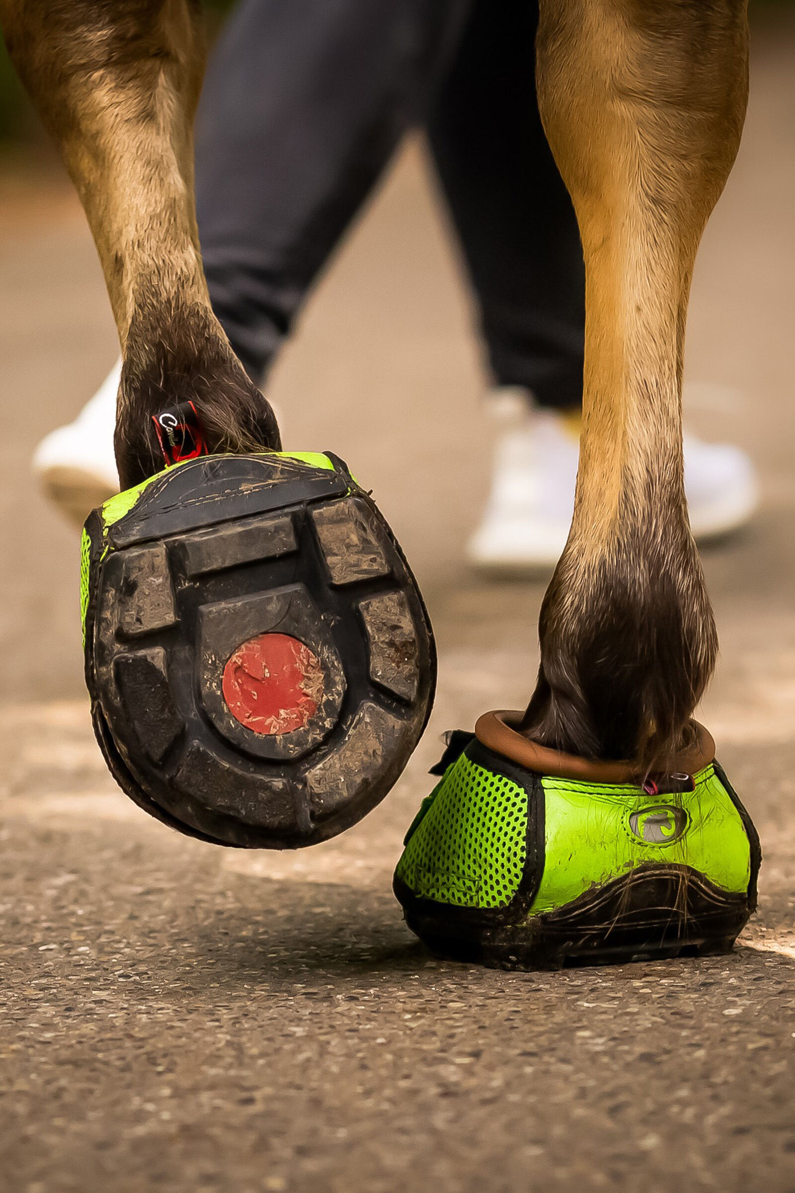 Trek hotsell horse boots