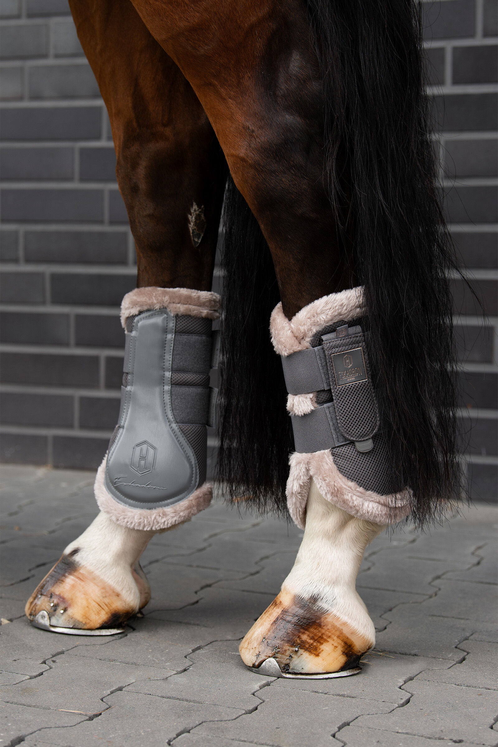 Eskadron top brushing boots