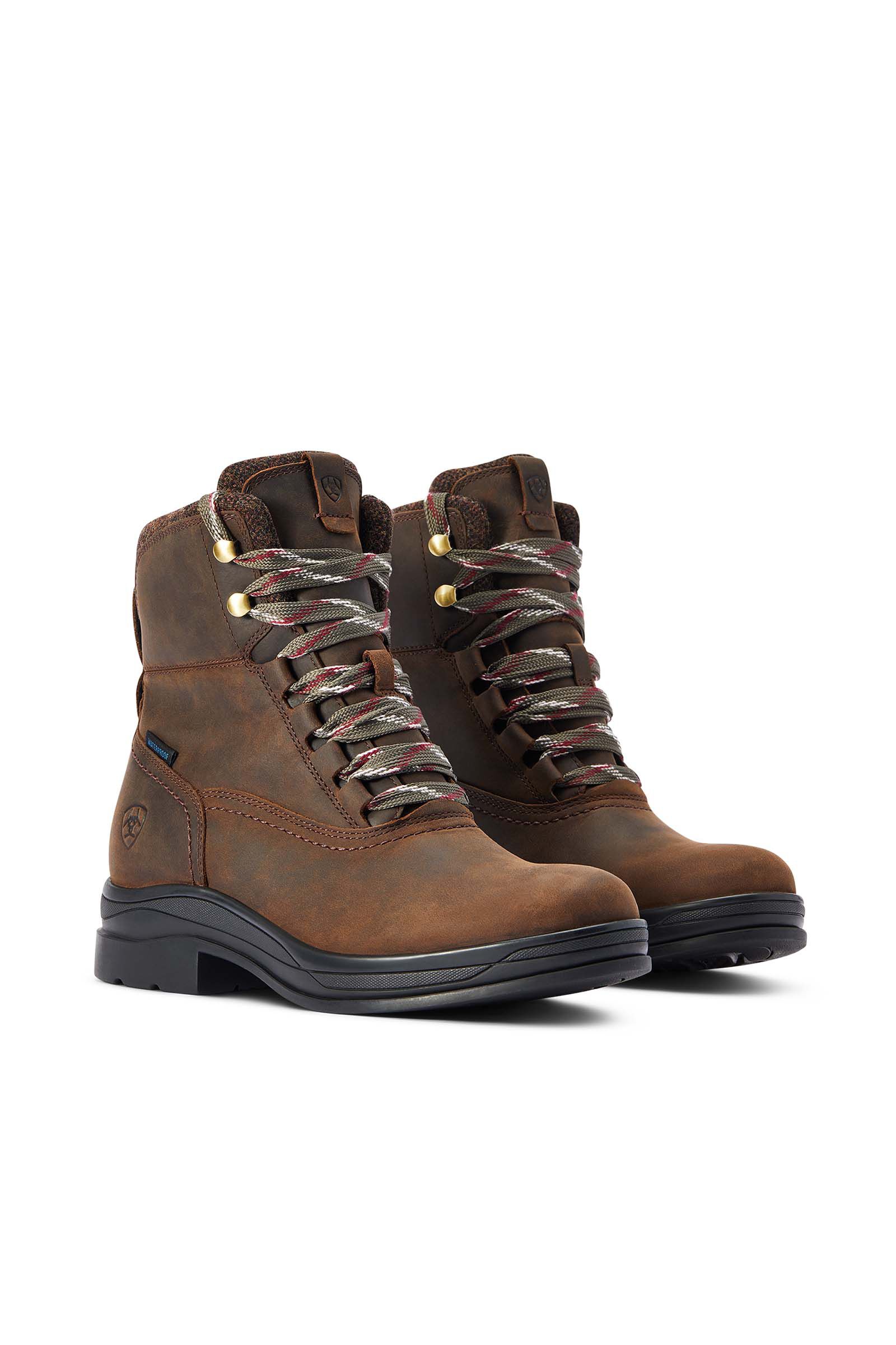 Ariat 2024 high tops