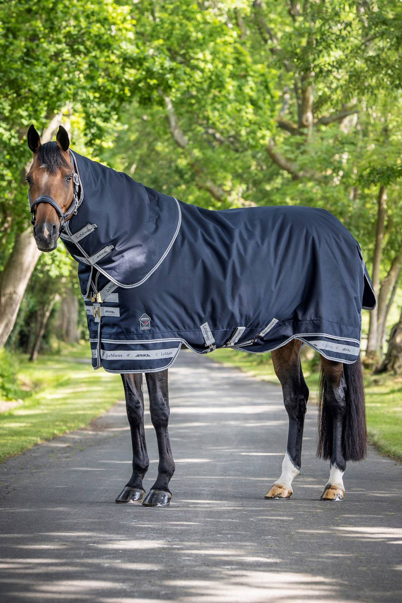 Lightweight turnout rug deals