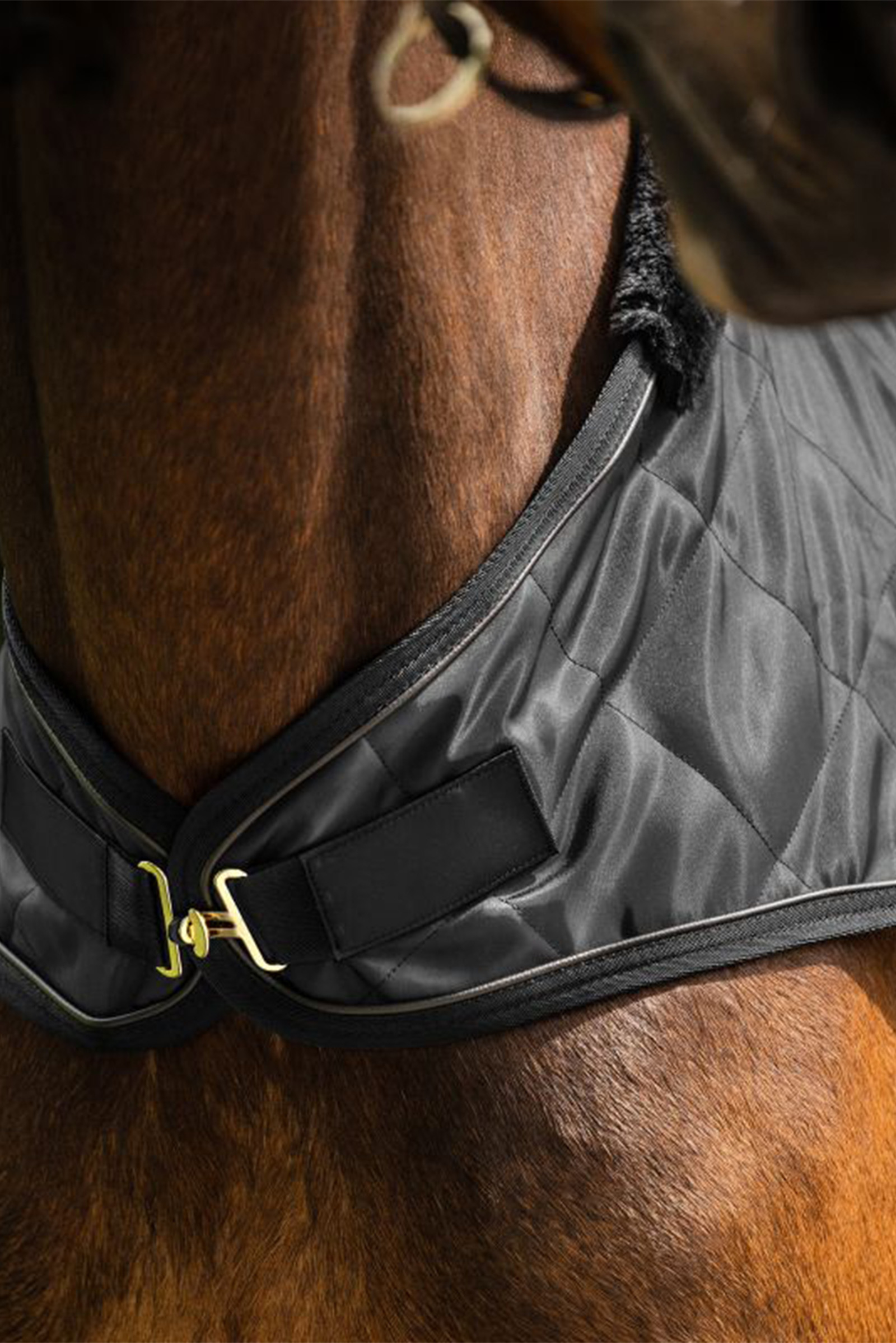 2022 Mountain Horse Jubile Spur Straps & Jubile Spurs Bundle - Black
