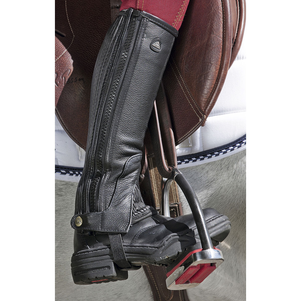 Horse riding best sale chaps