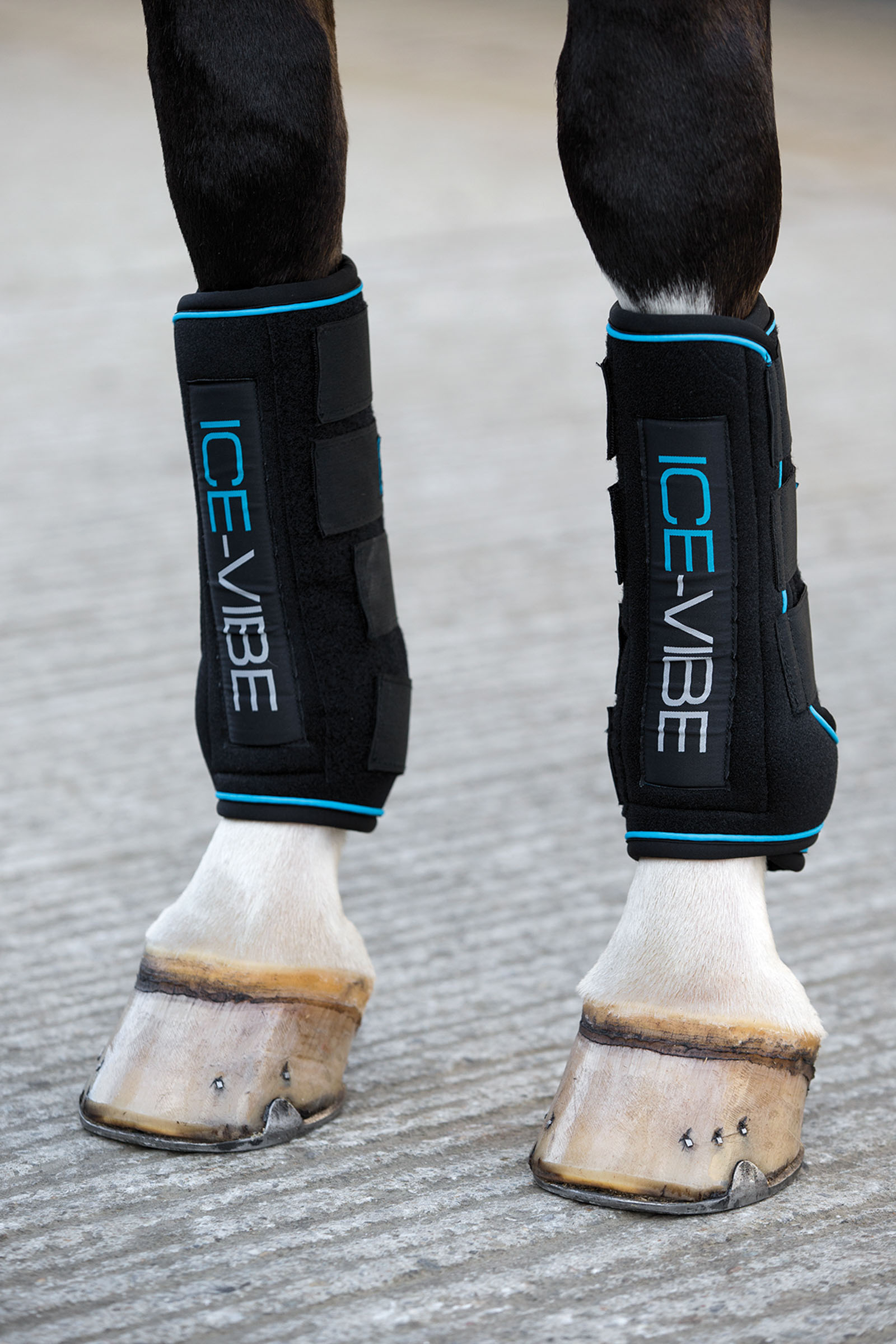 Leg protection for horses top