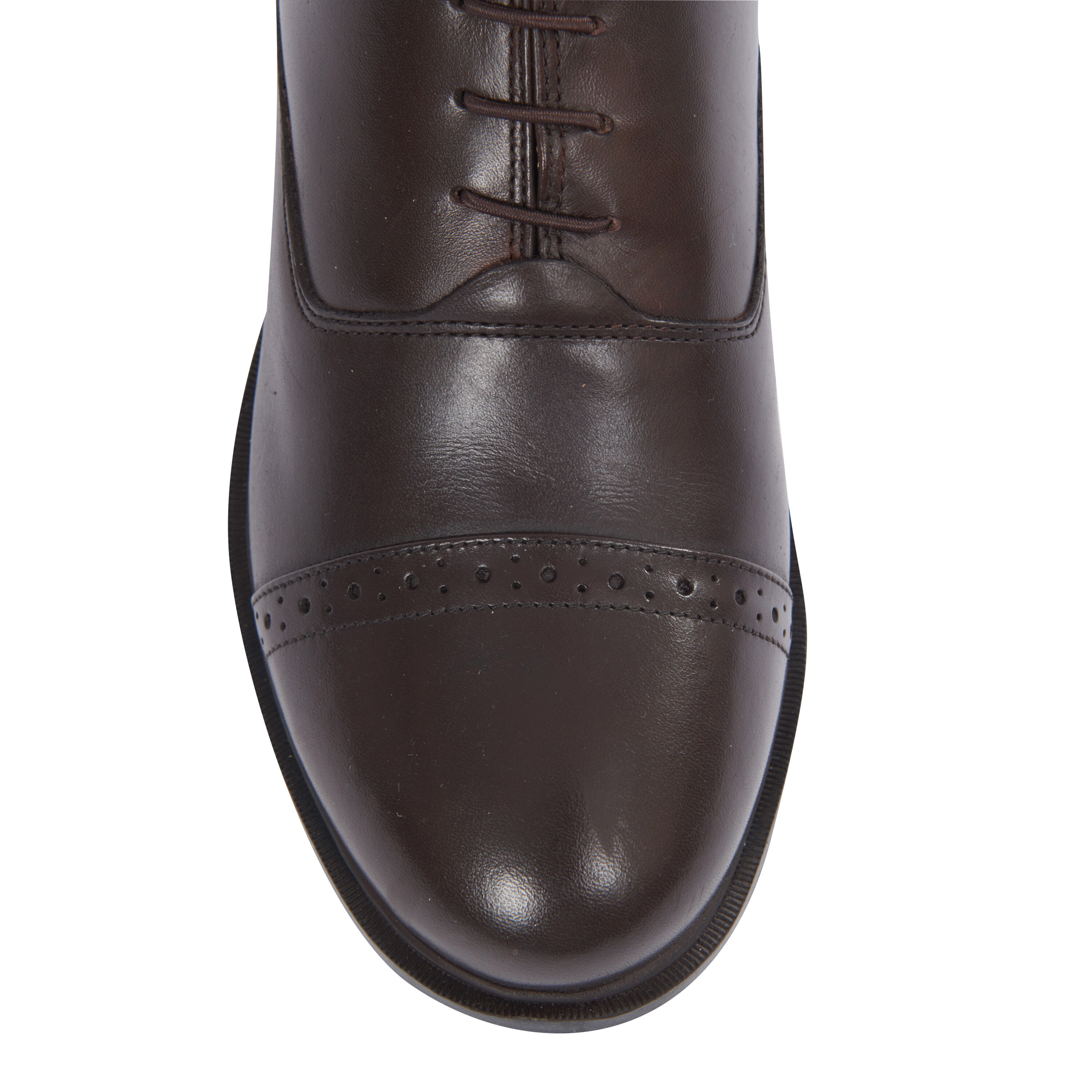 Dublin Evolution Lace Front Paddock Boots horze