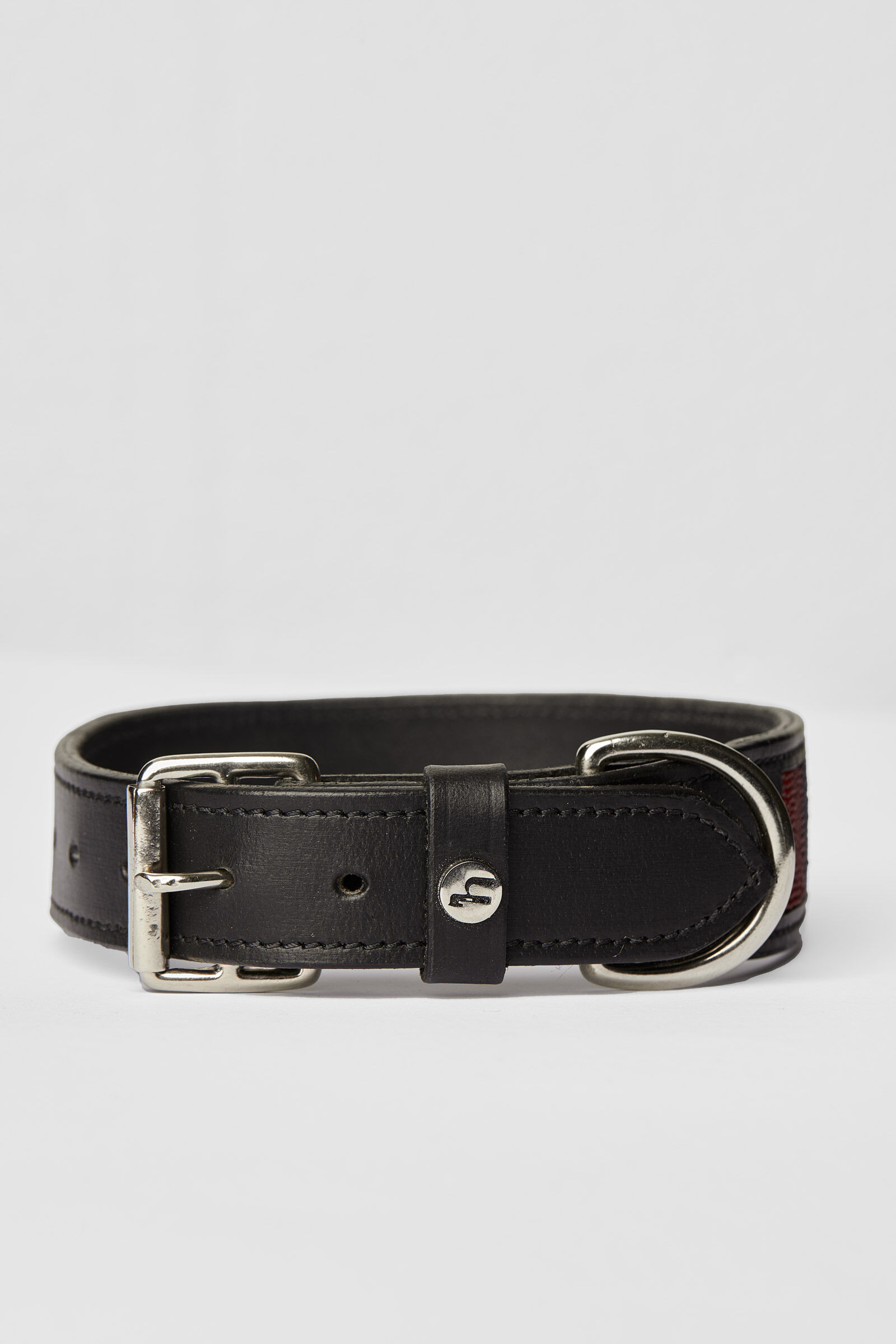 Black collar for dog best sale