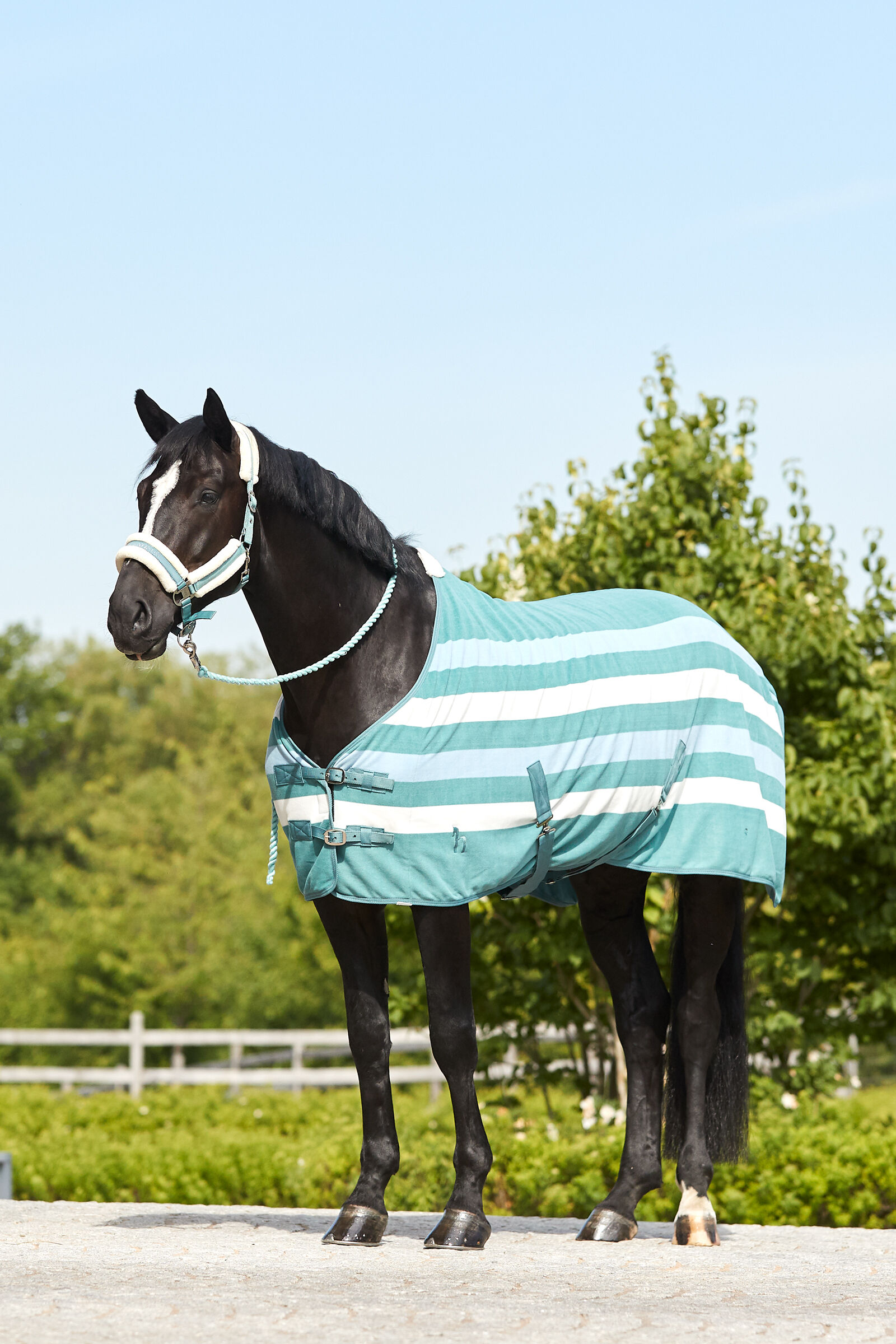 Horse sales fleece rugs