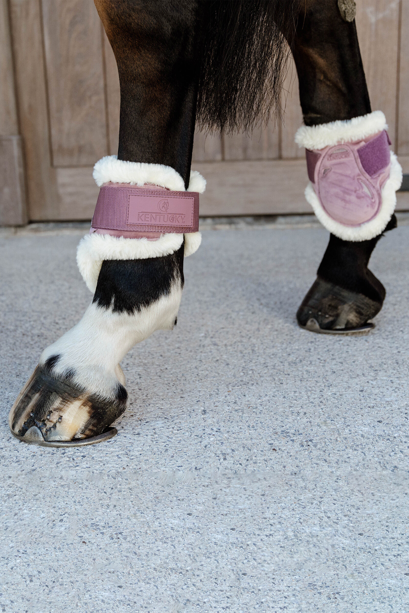 Fetlock boots deals for horses