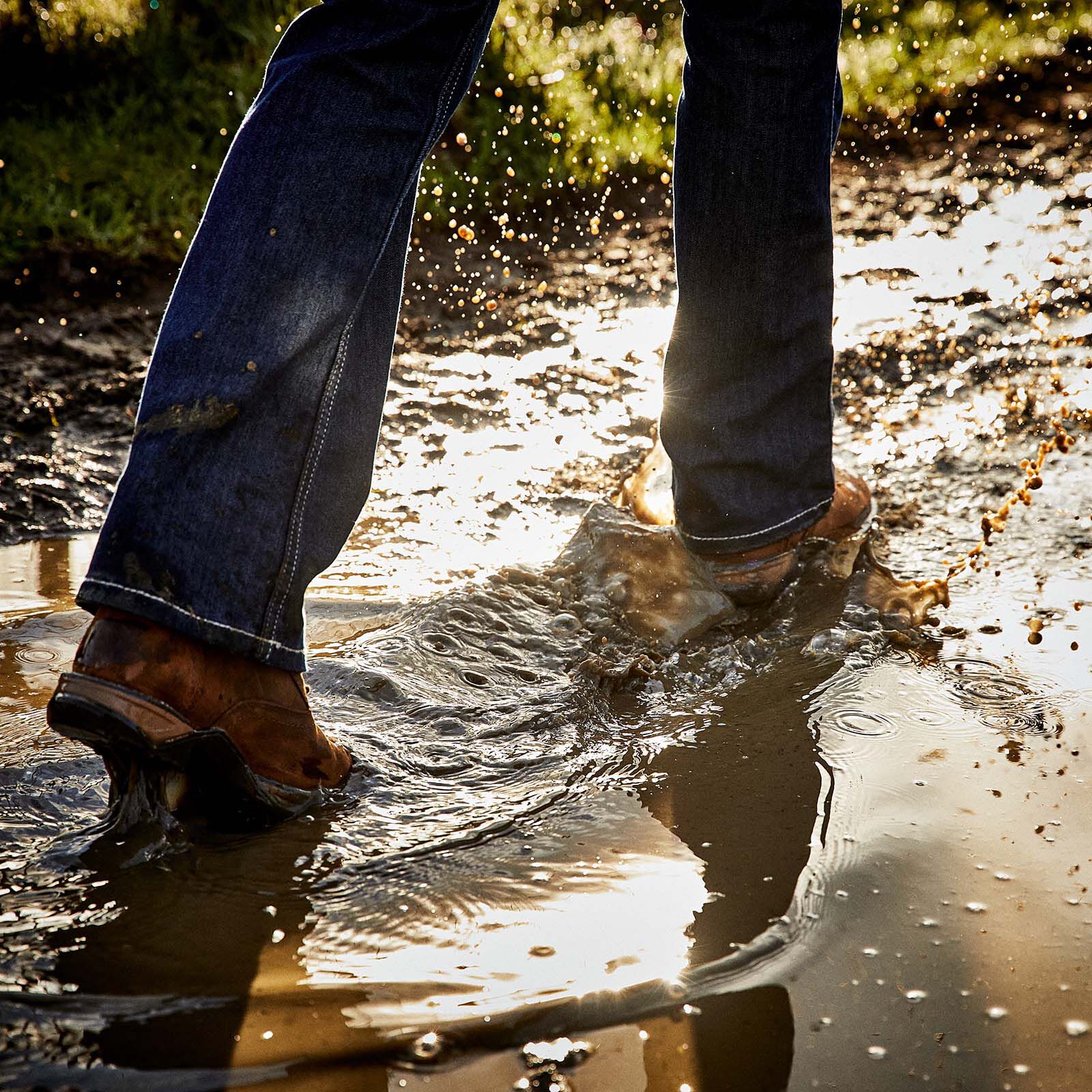Ariat anthem boots online