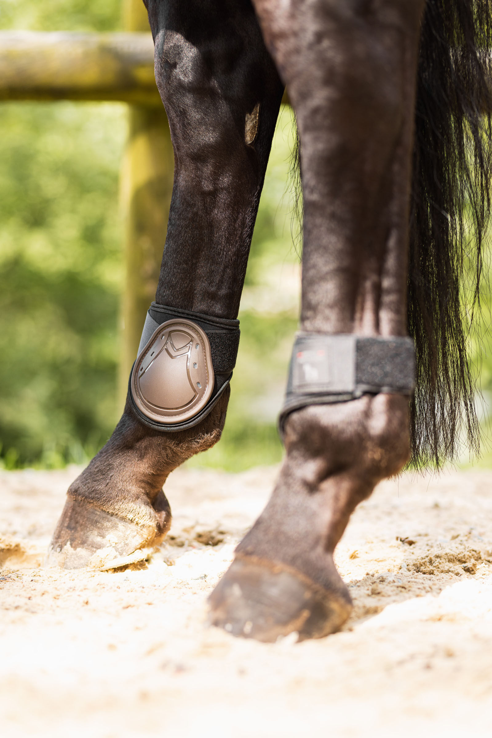 Horze Armour Airflow Tendon Fetlock Boot Set