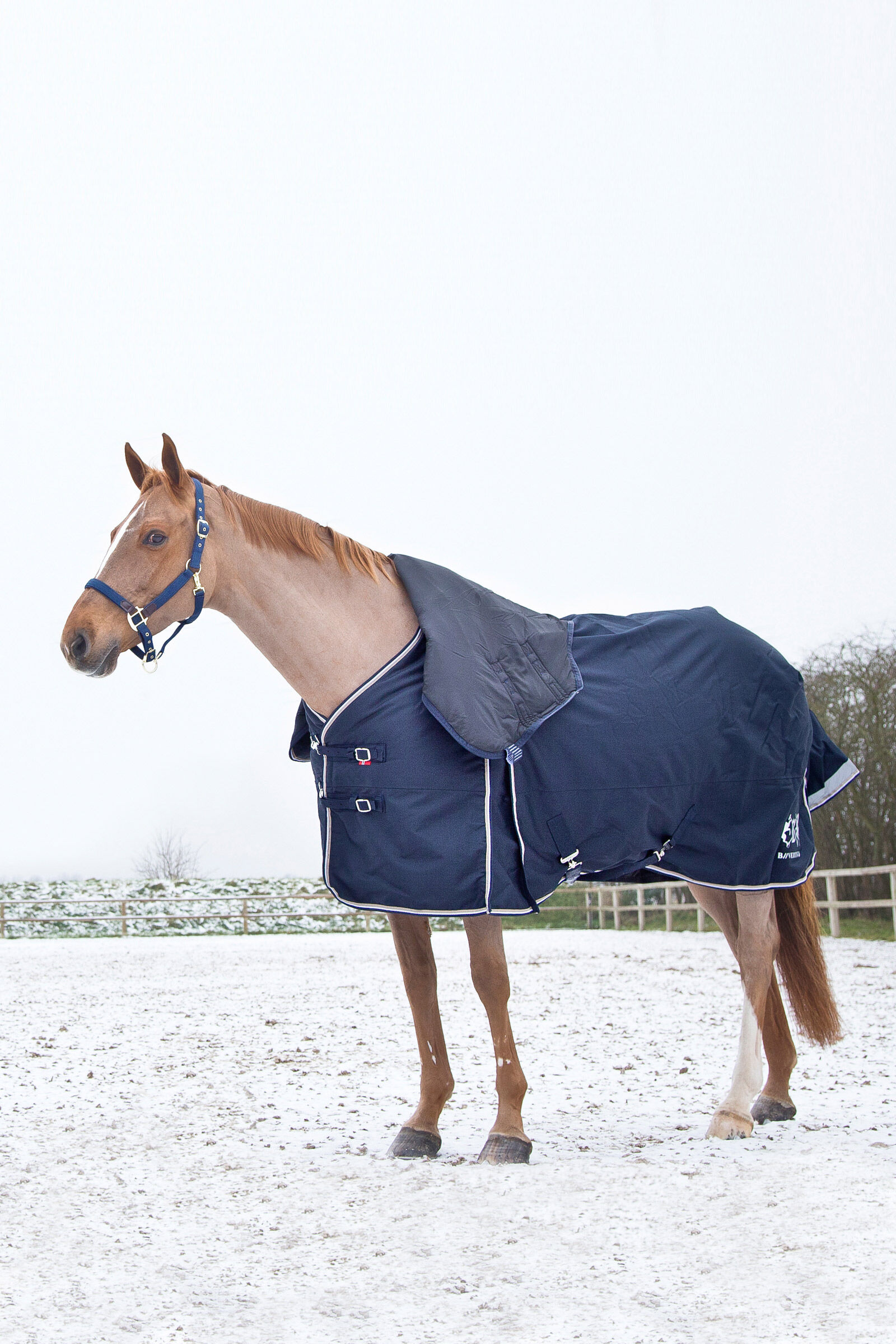 Winter hotsell horse rugs