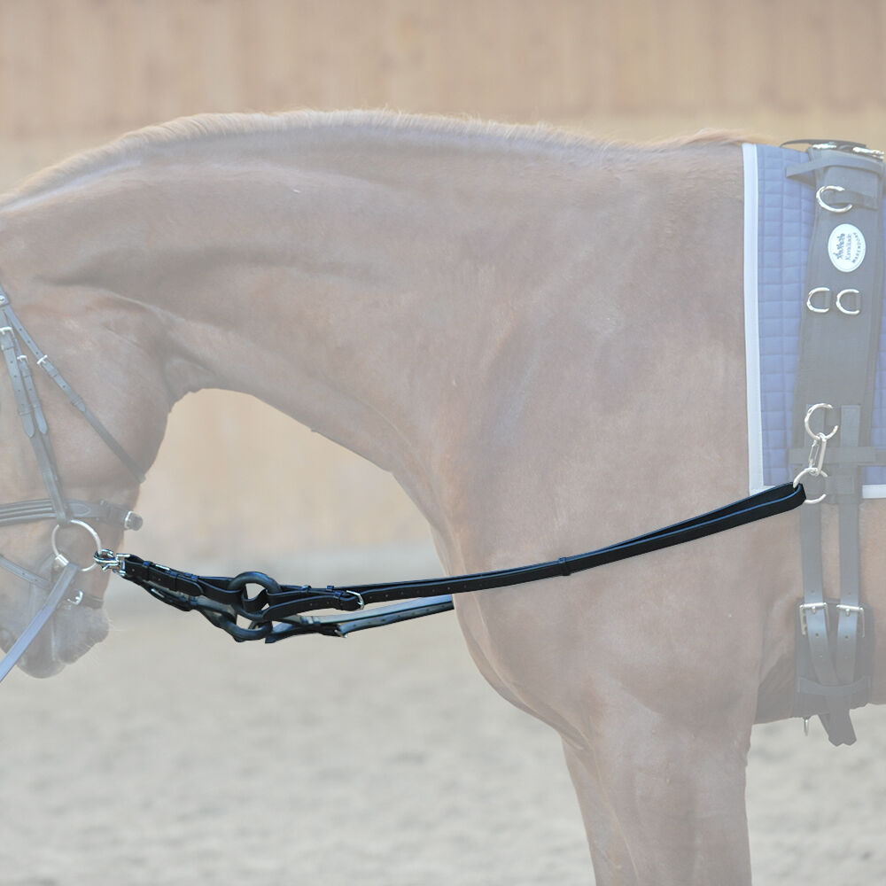 Side reins store