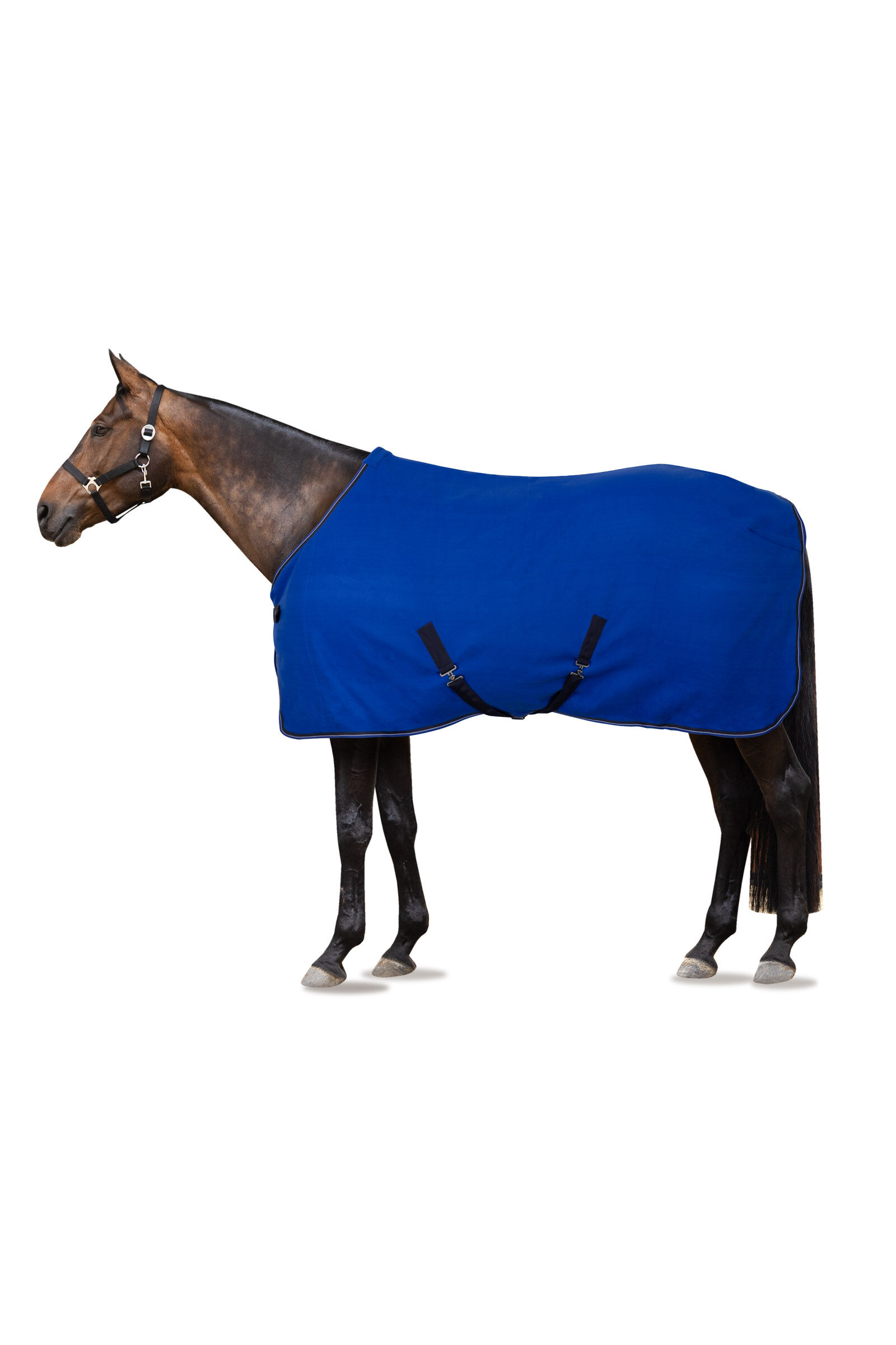 Cooler horse store