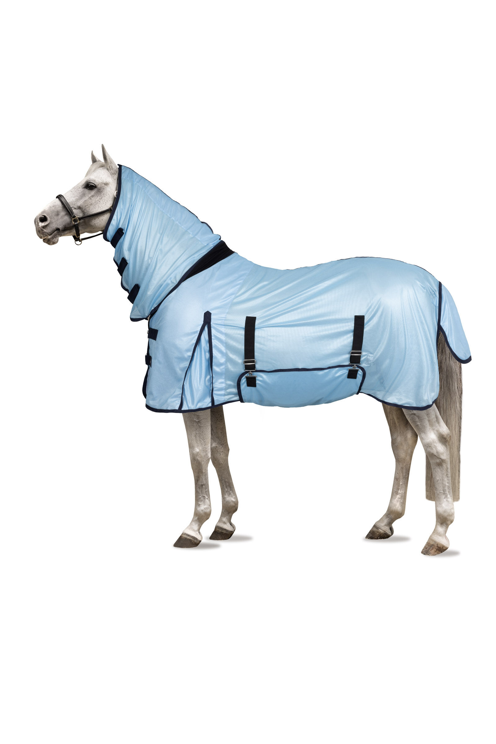 Where to buy horse supplies store