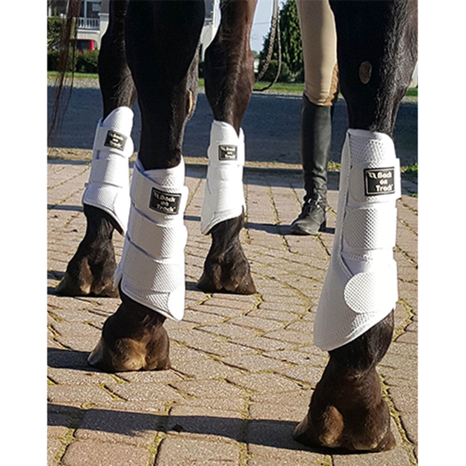 Back on Track 3D Mesh Brushing Boots L XL horze