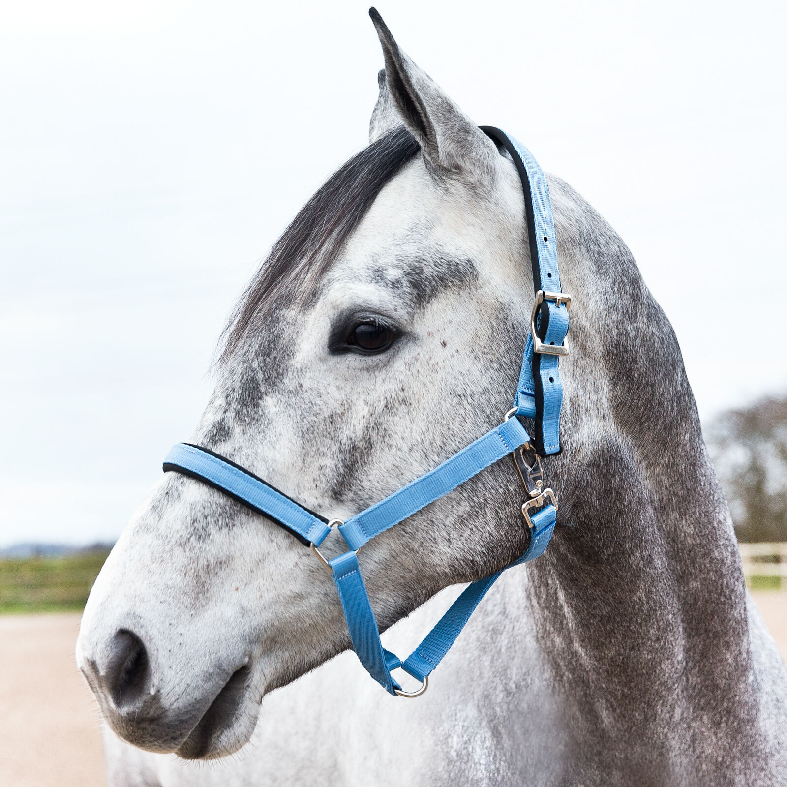 Horze Halter with Lining horze