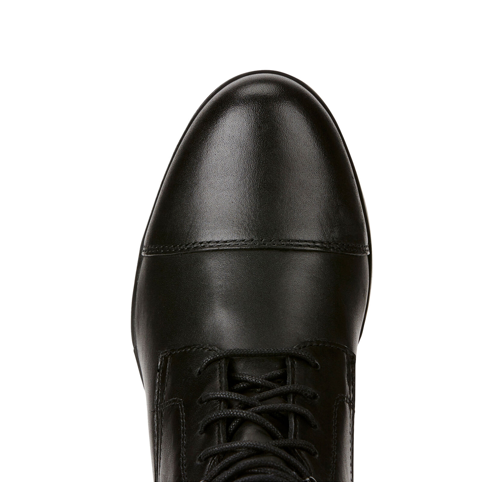 Ariat paddock boot laces sales