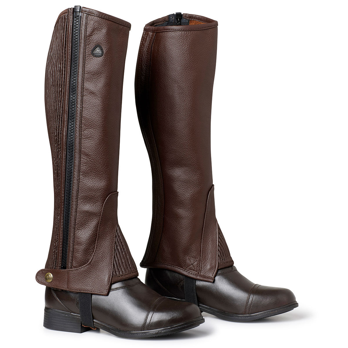 Chaps mountain horse sale