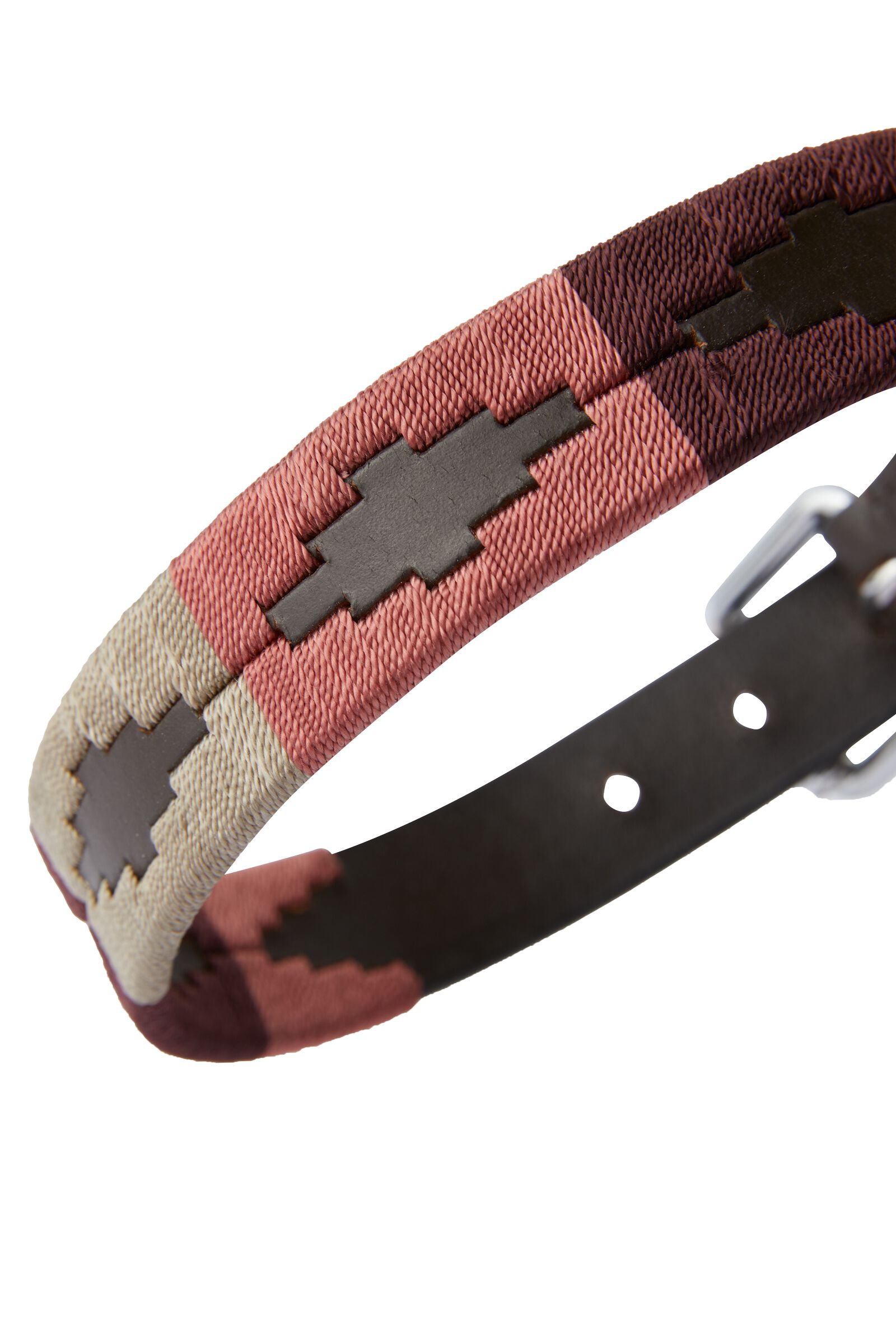 Polo belt dog collars online