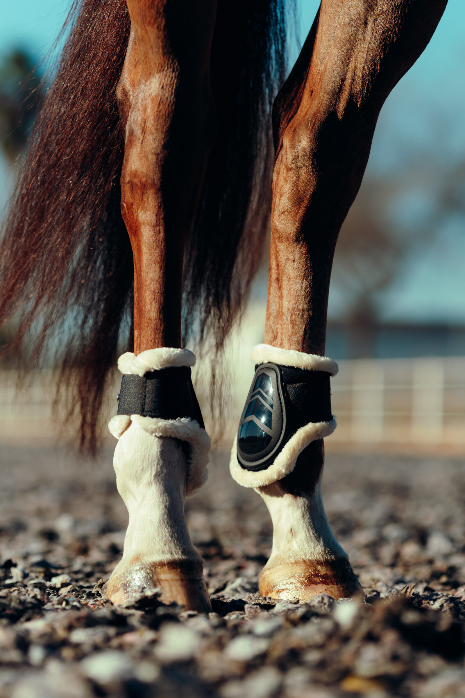 Horze open cheap front boots