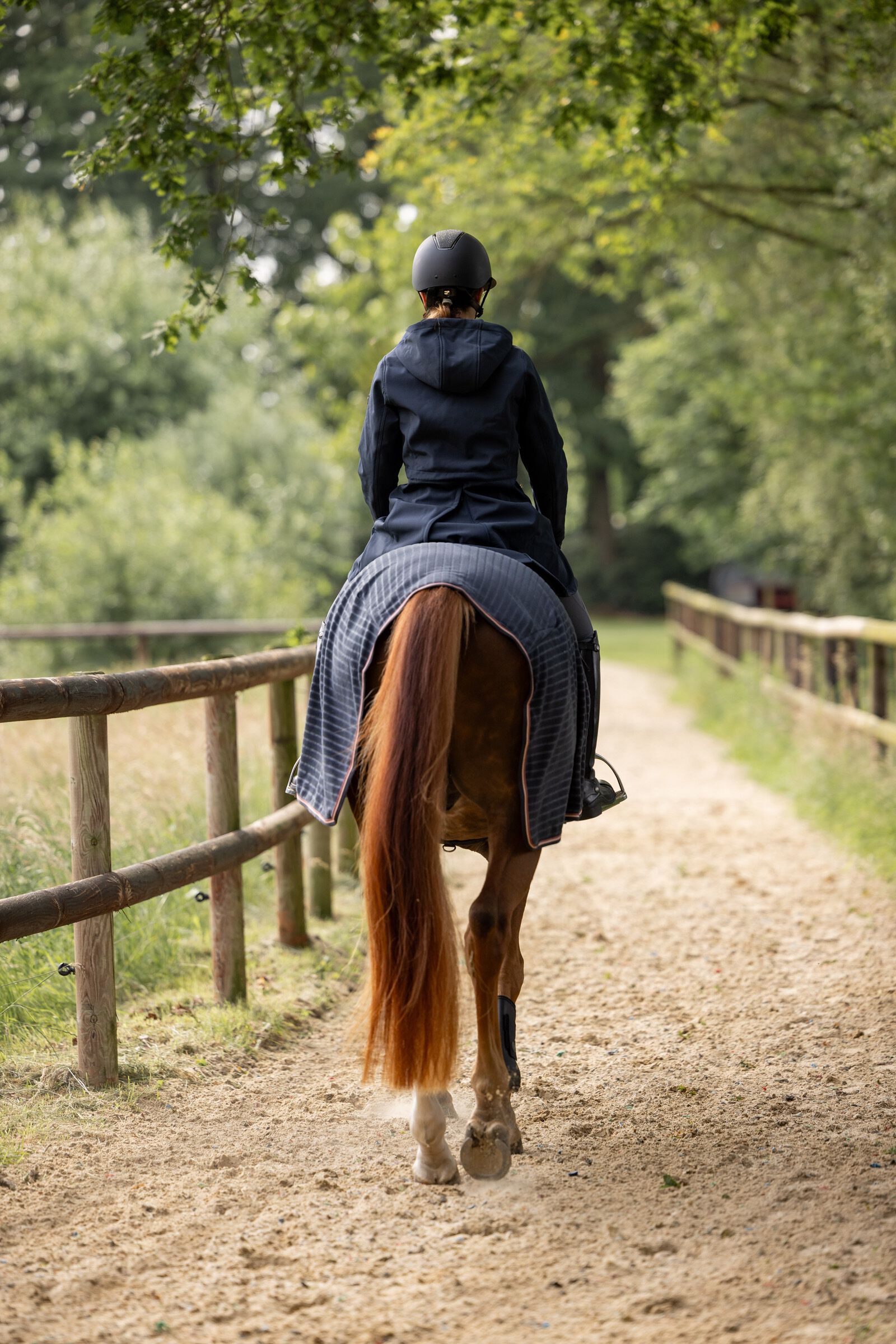 Horze softshell jacket outlet