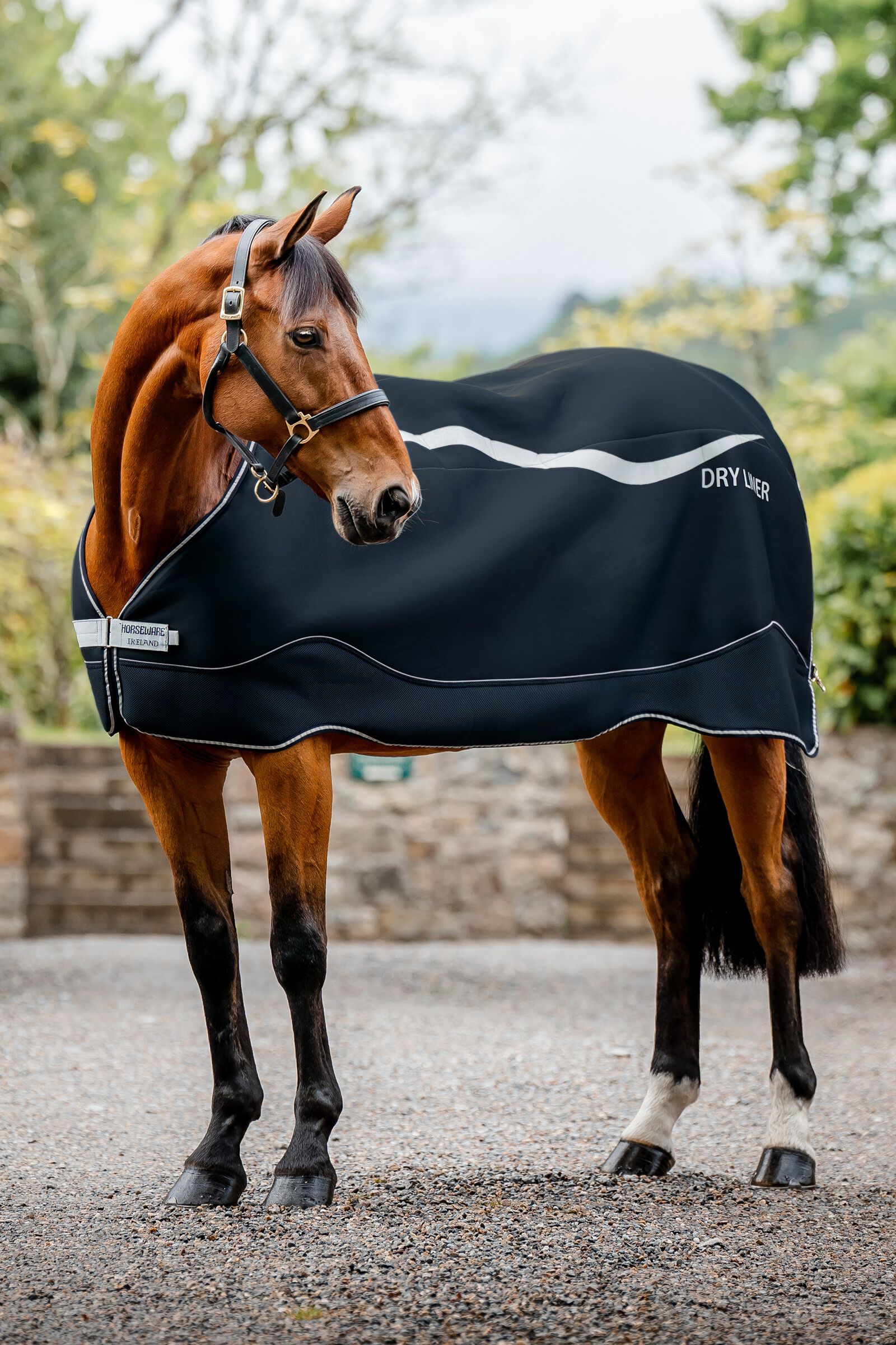 Horseware liner shop