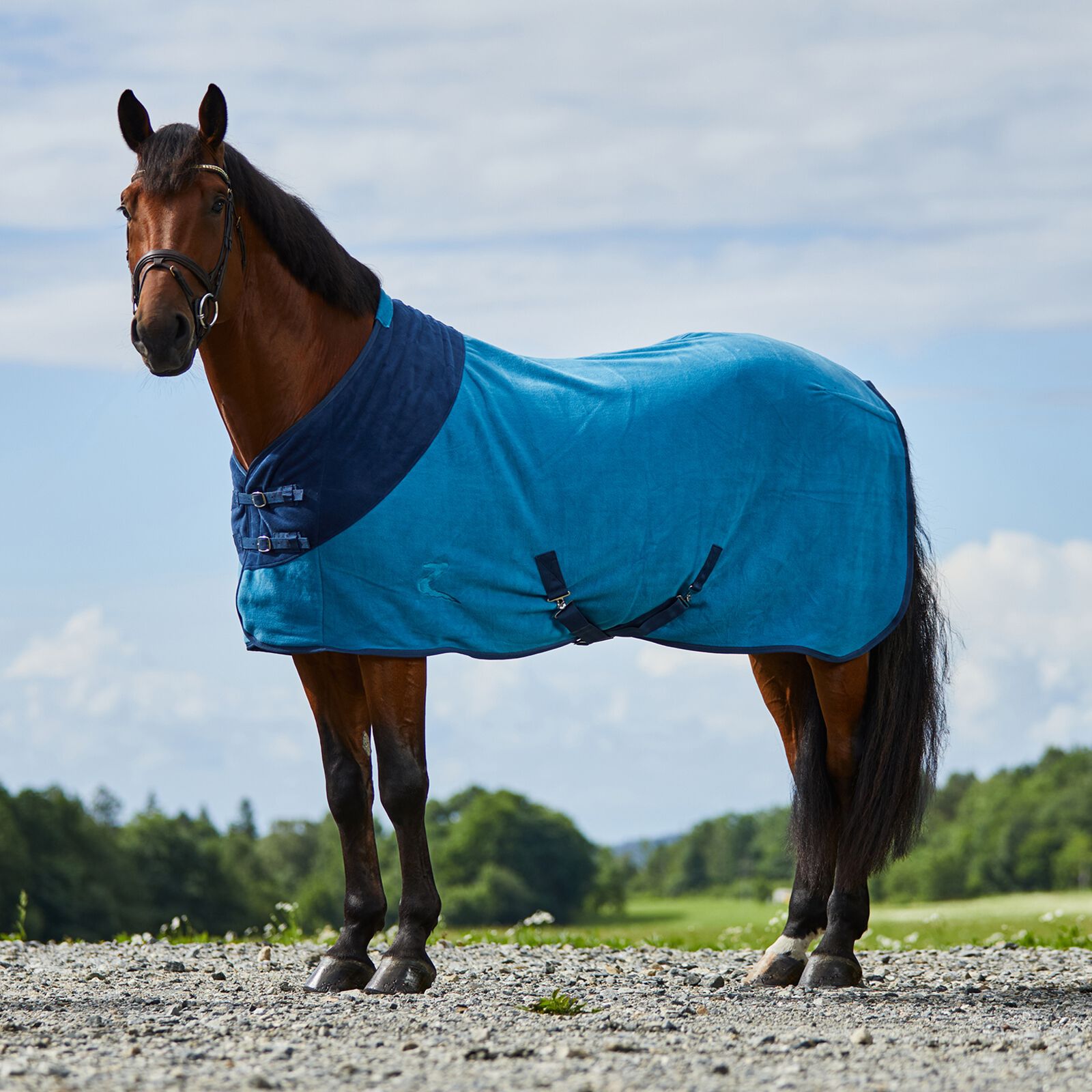 Horze Turin Fleece Rug