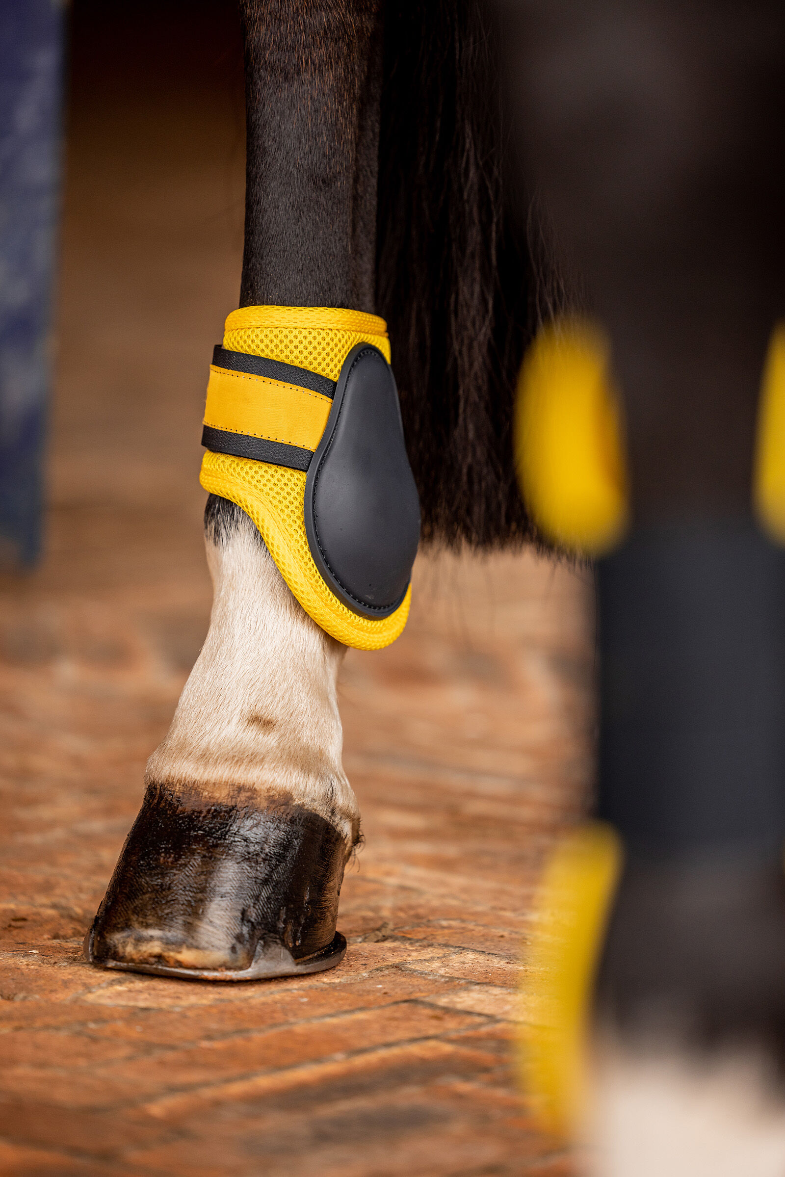Horze Chicago 2.0 Fetlock Boots horze