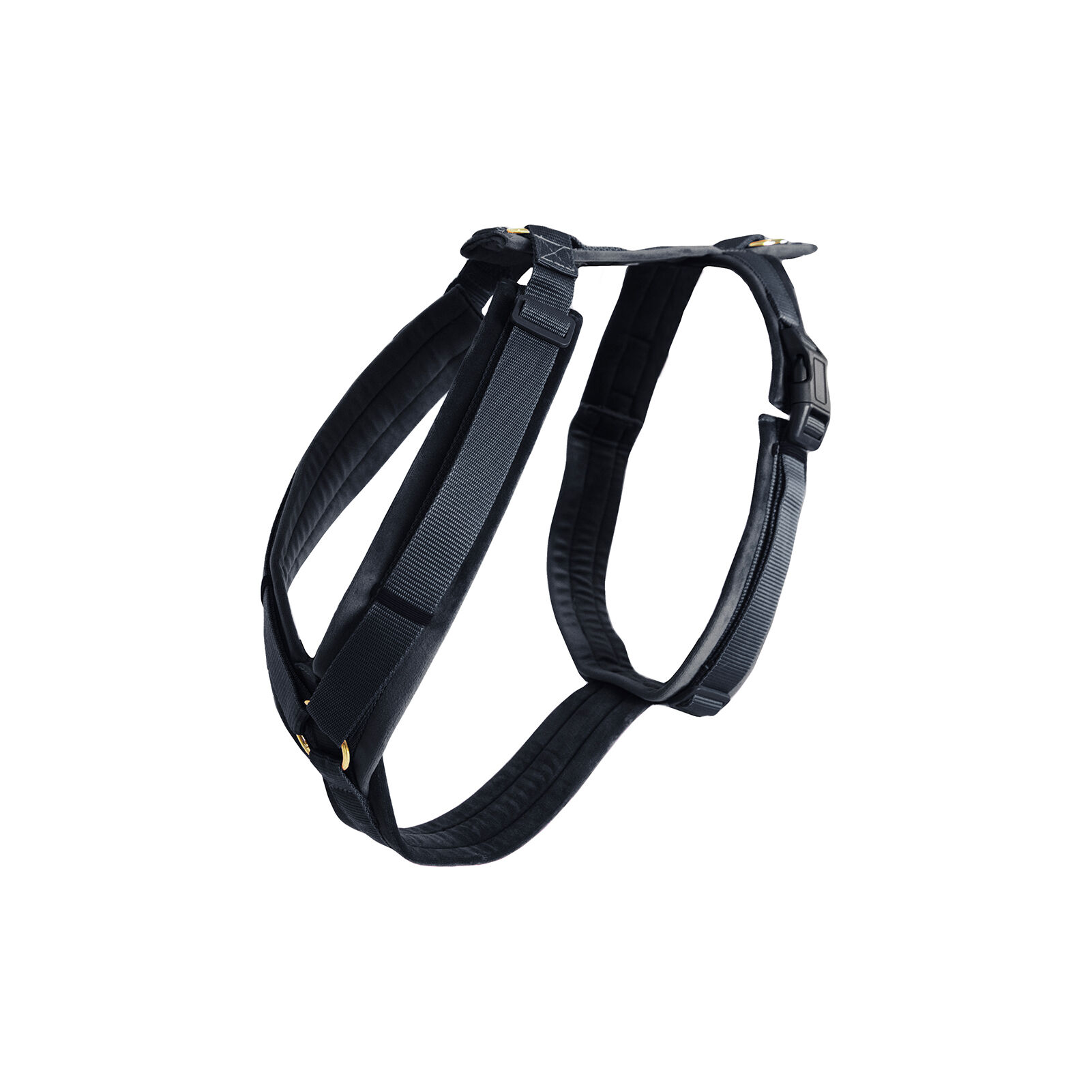 Black dog wear harness new arrivals