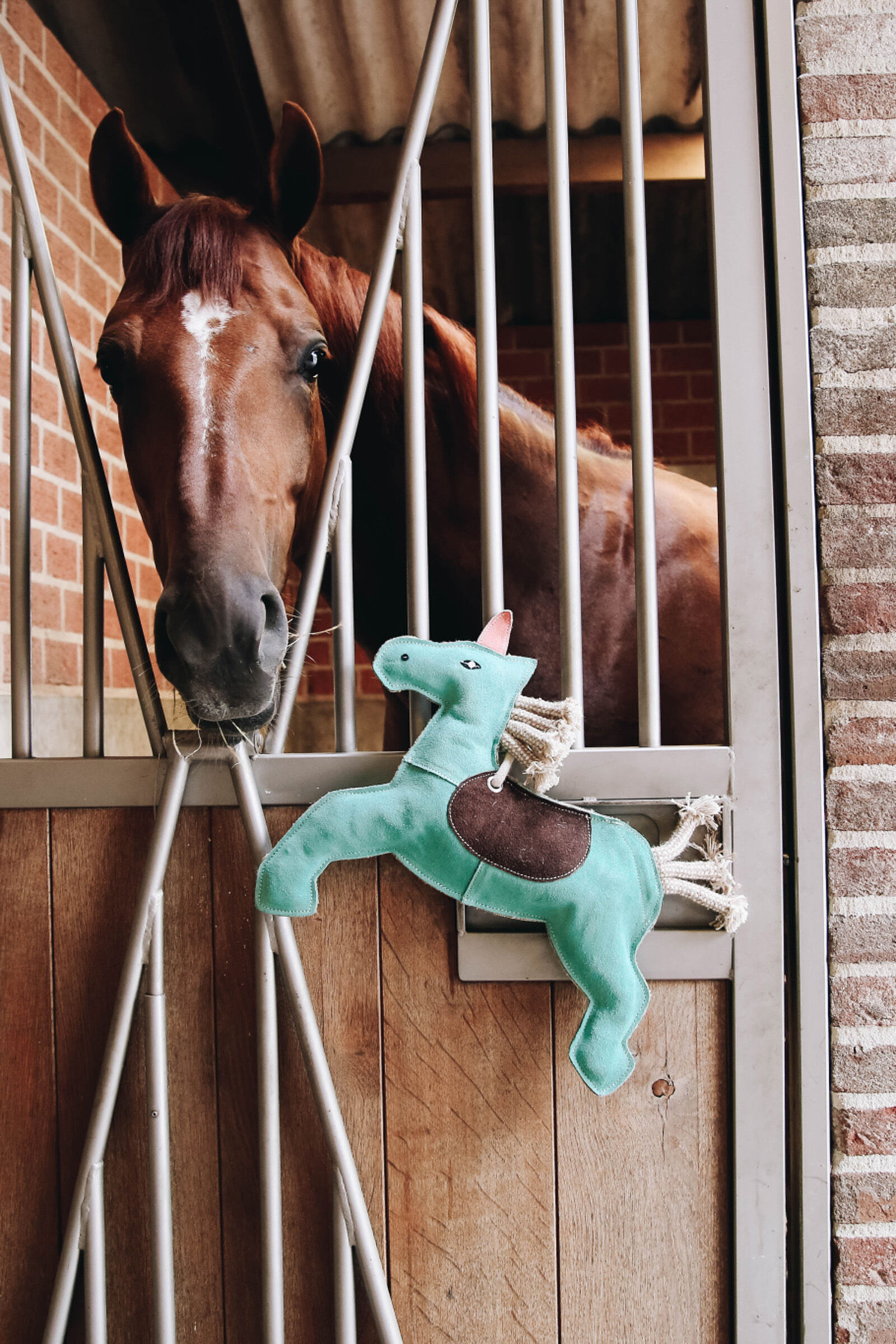 Equine toys store