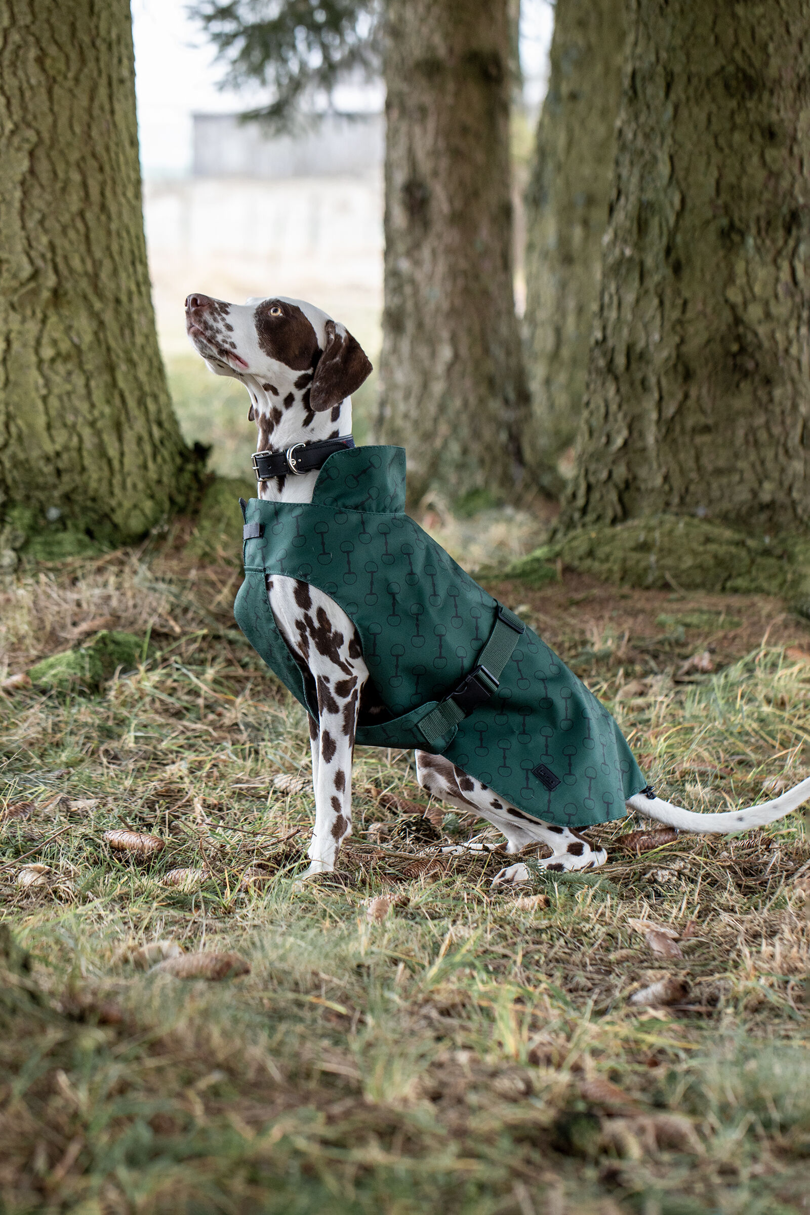 Hurtta extreme top warmer dog coat