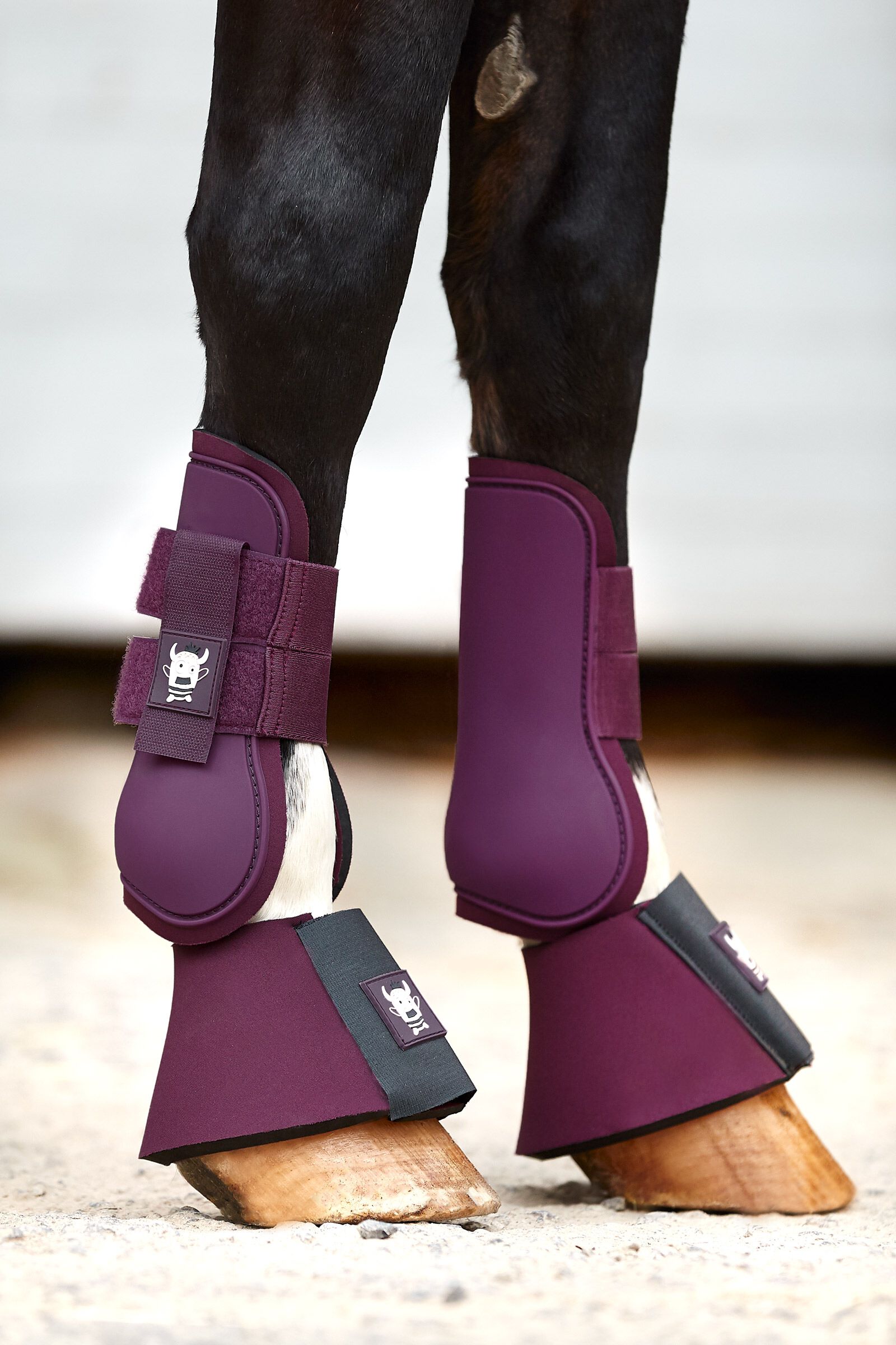 Pony tendon boots clearance