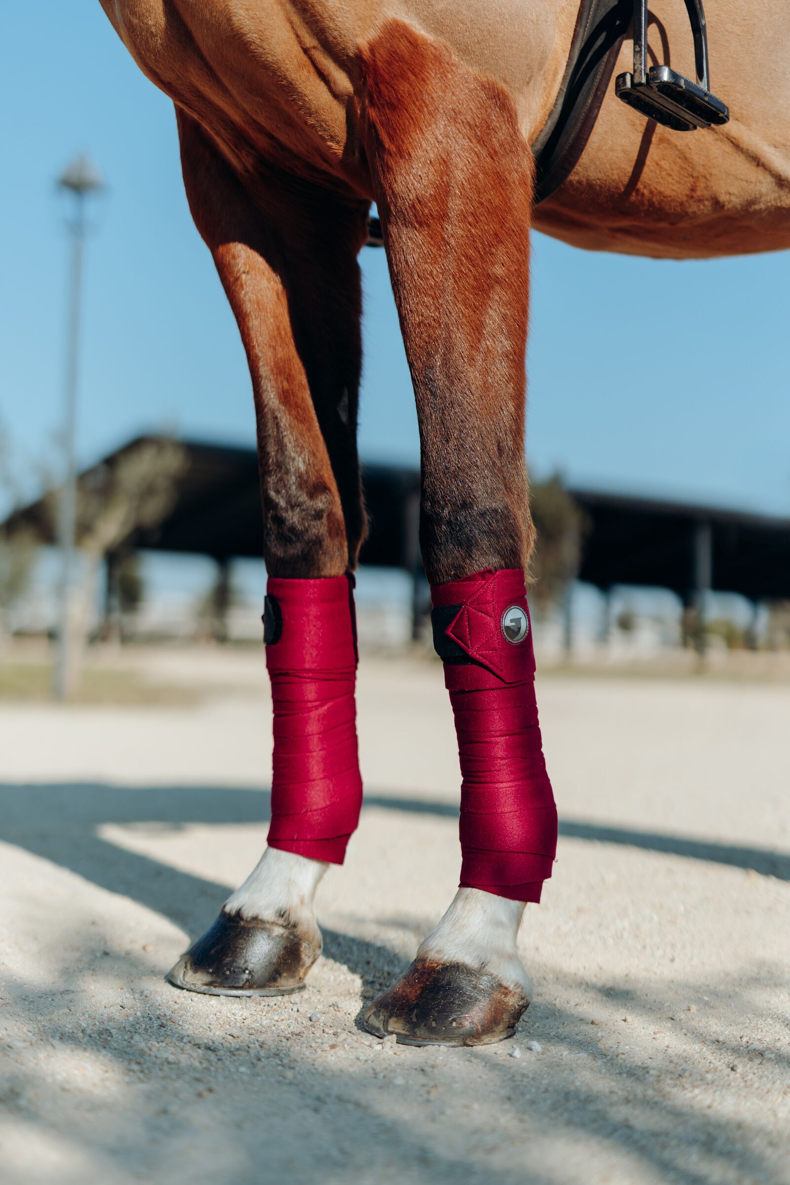 Horse bandages sales