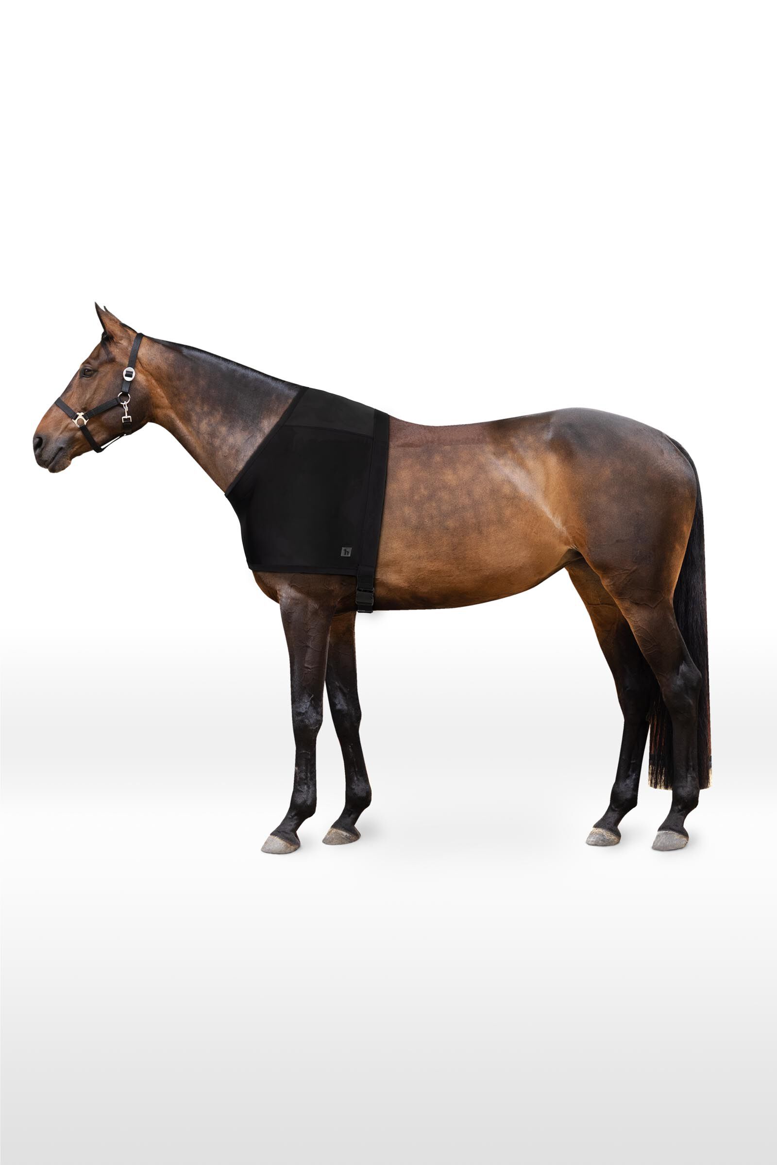 Horze ComForce Shoulder Guard horze